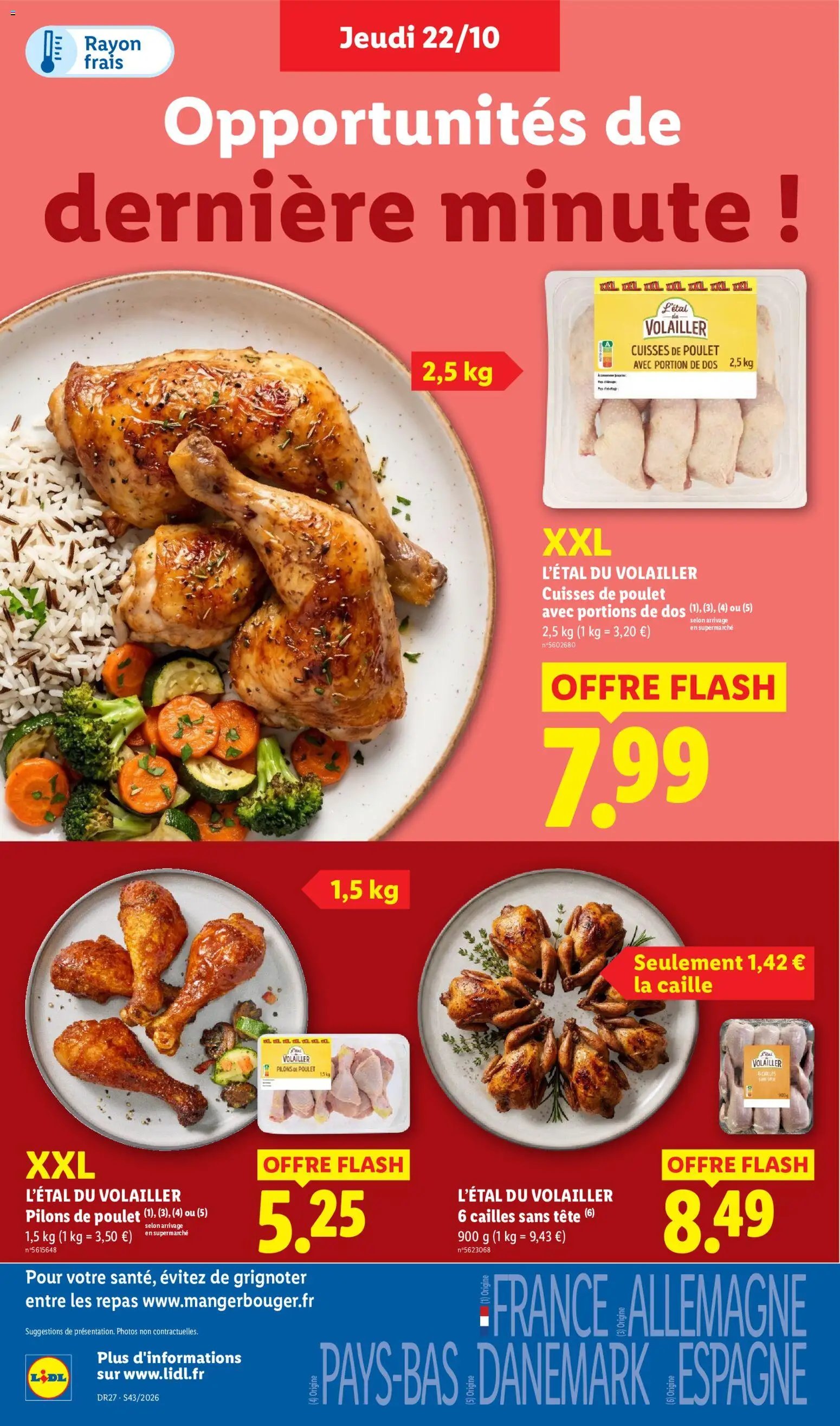 LIDL catalogue
