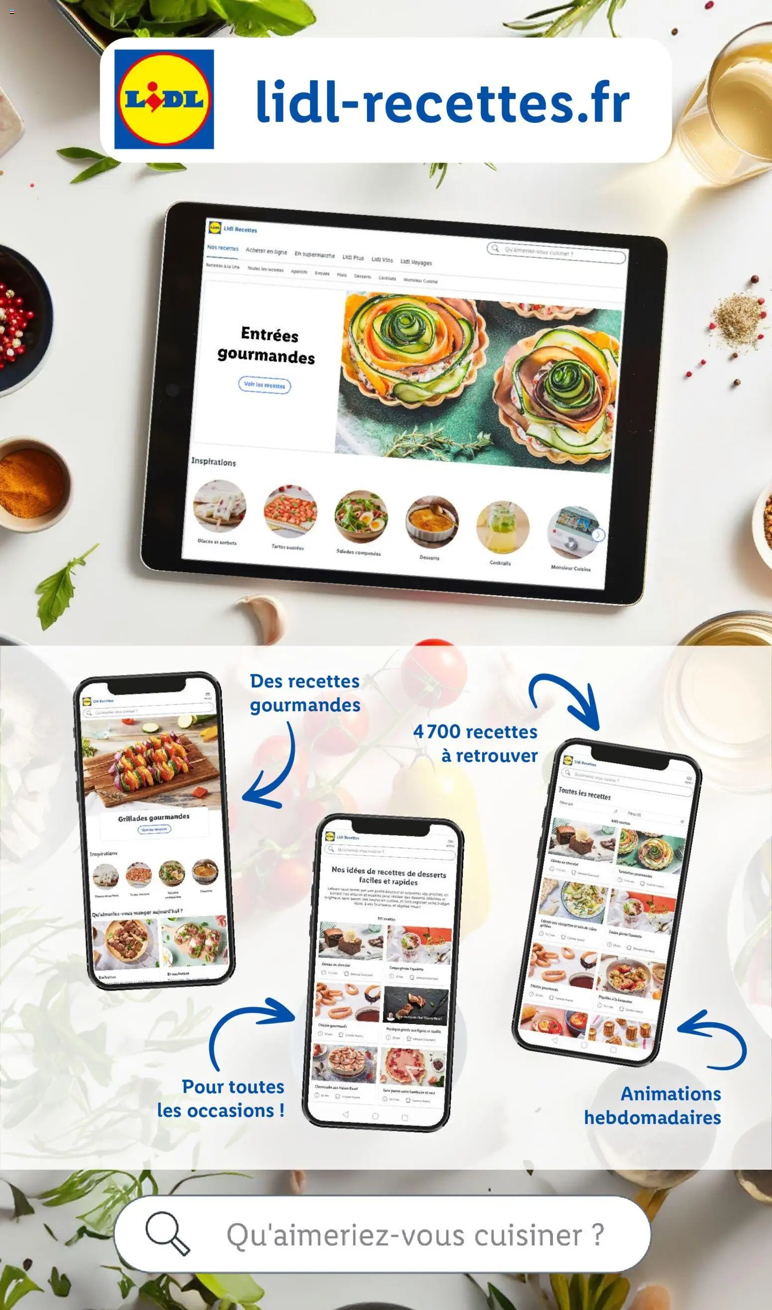 LIDL catalogue