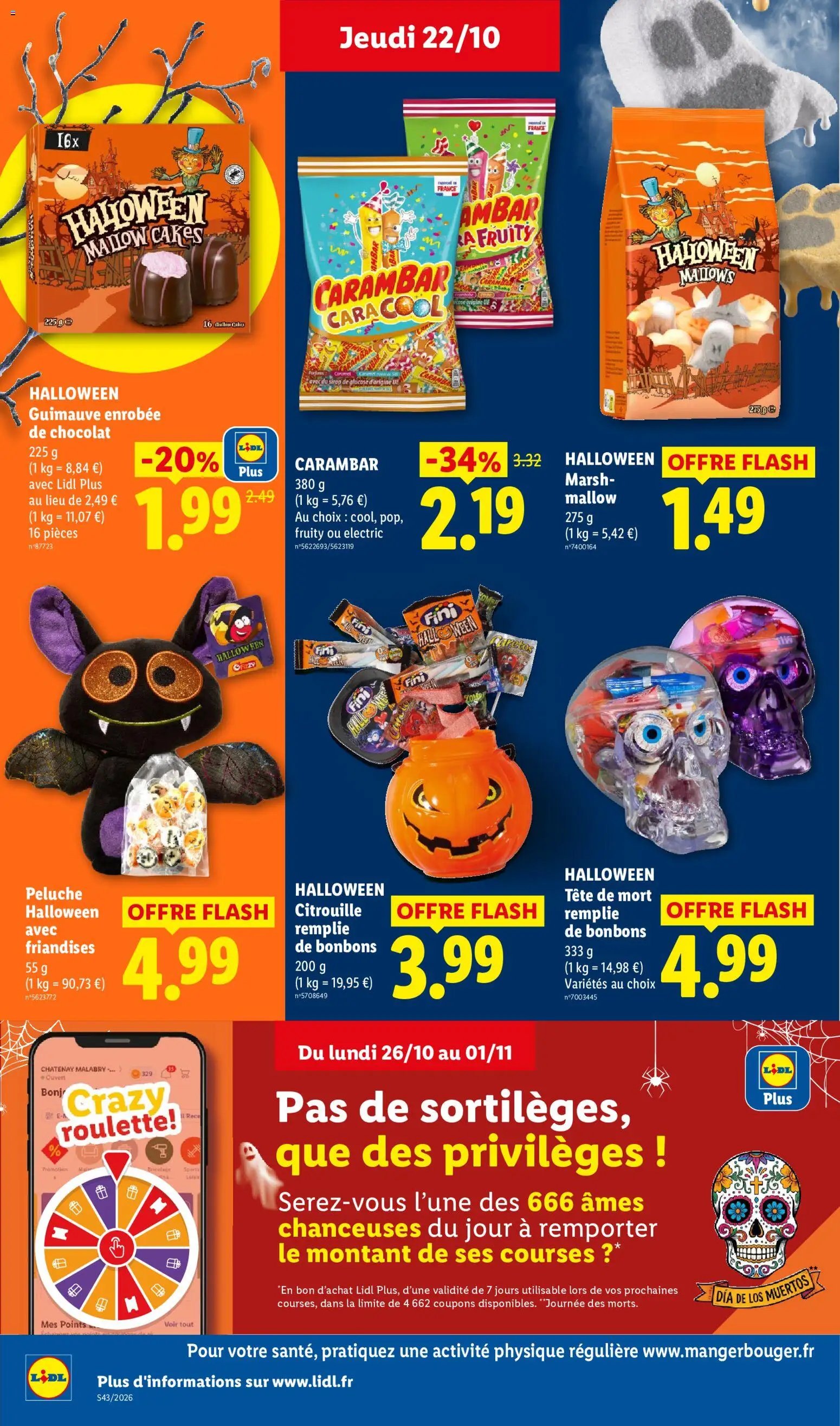 LIDL catalogue