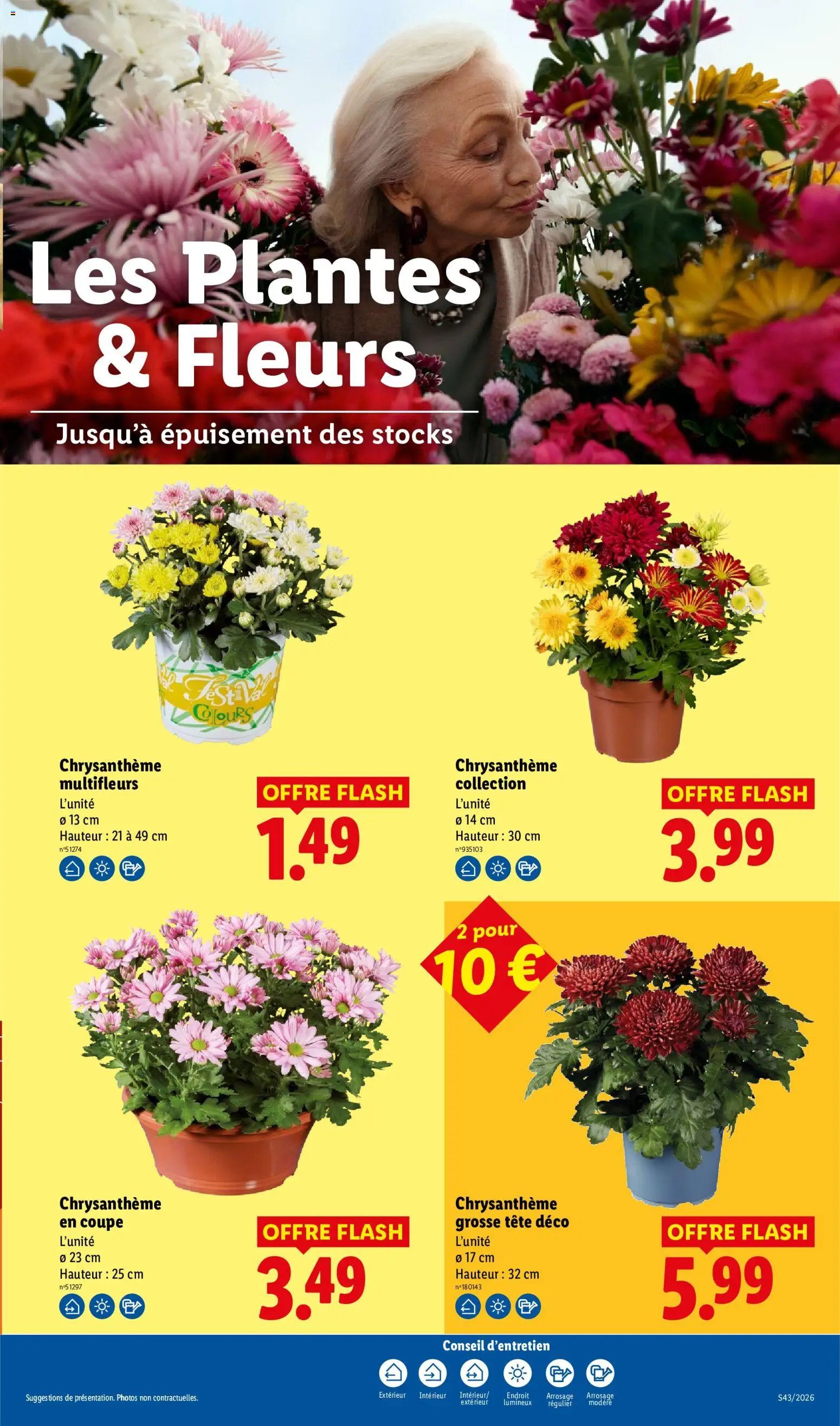 LIDL catalogue