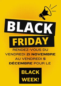 Brico Dépôt Black Friday avis