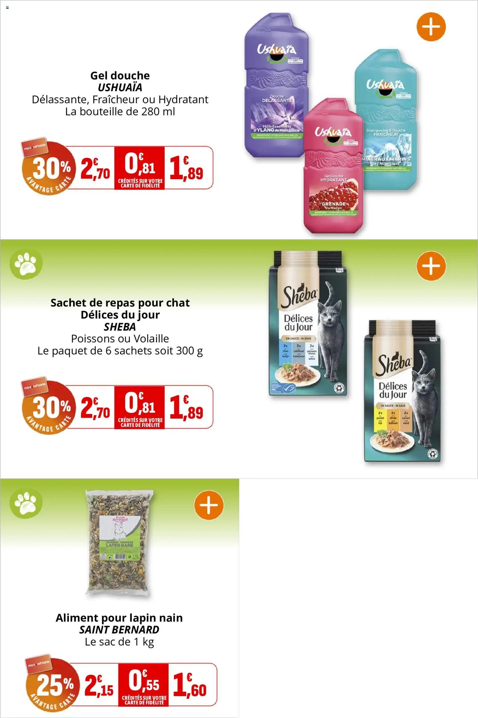 Coccinelle catalogue