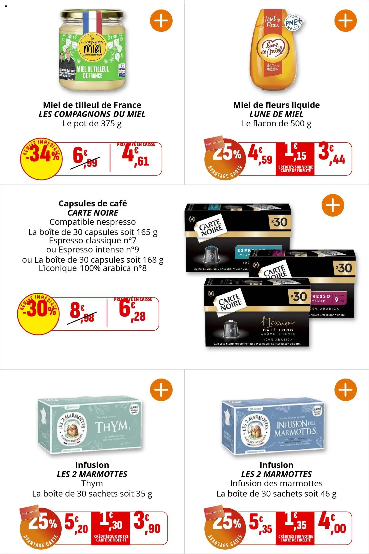 Coccinelle - Express (2026-01-14 - 2026-01-25)