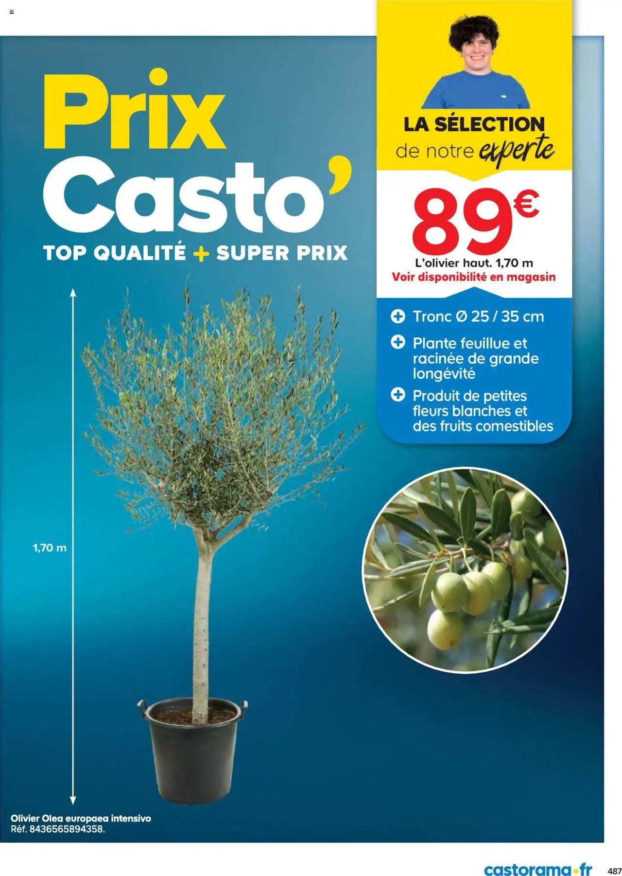 Catalogue Castorama (2025-05-21 - 2025-12-31)