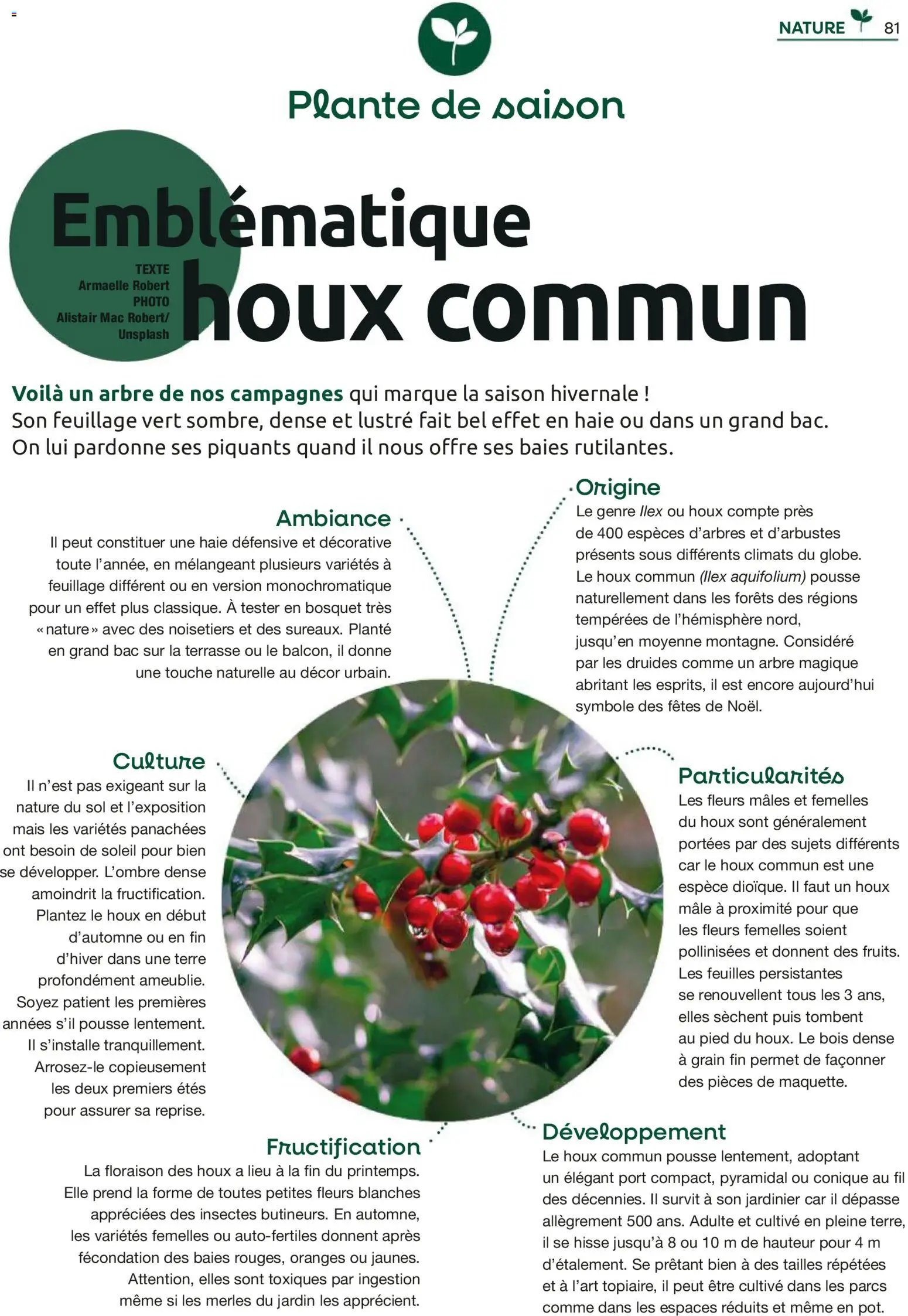 Mr. Bricolage catalogue (2025-12-01 - 2025-12-31)