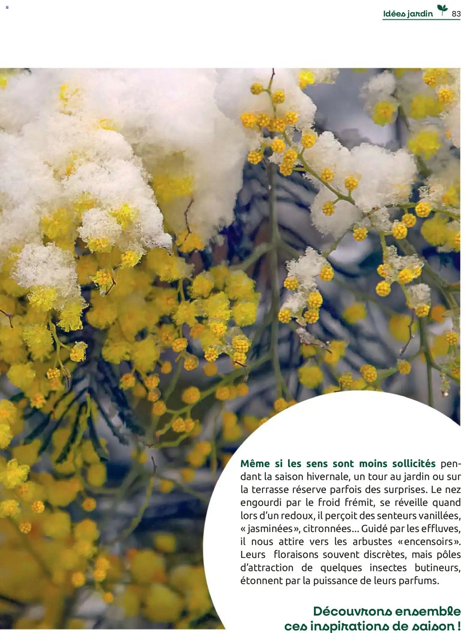 Mr. Bricolage catalogue (2025-12-01 - 2025-12-31)