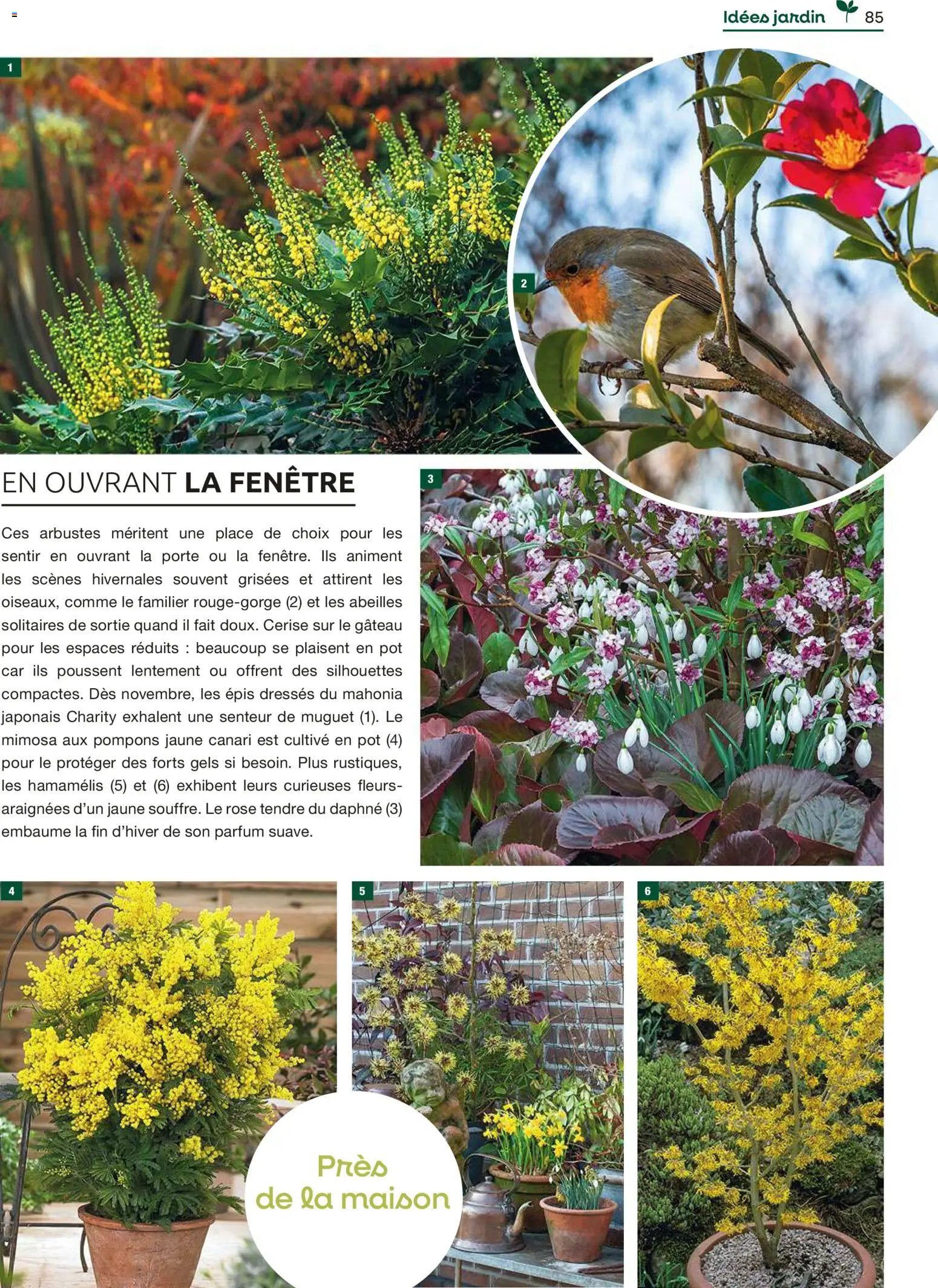 Mr. Bricolage catalogue (2025-12-01 - 2025-12-31)