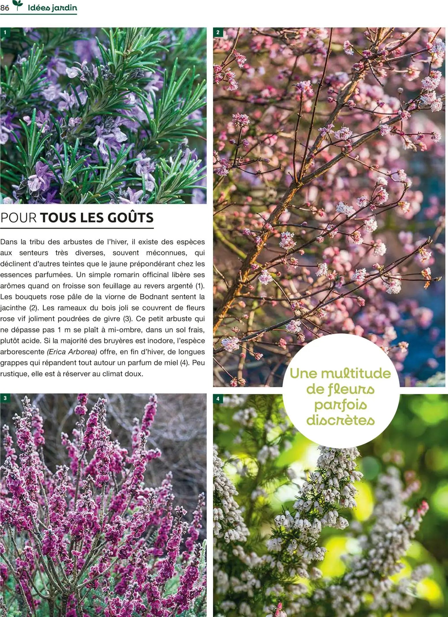 Mr. Bricolage catalogue (2025-12-01 - 2025-12-31)