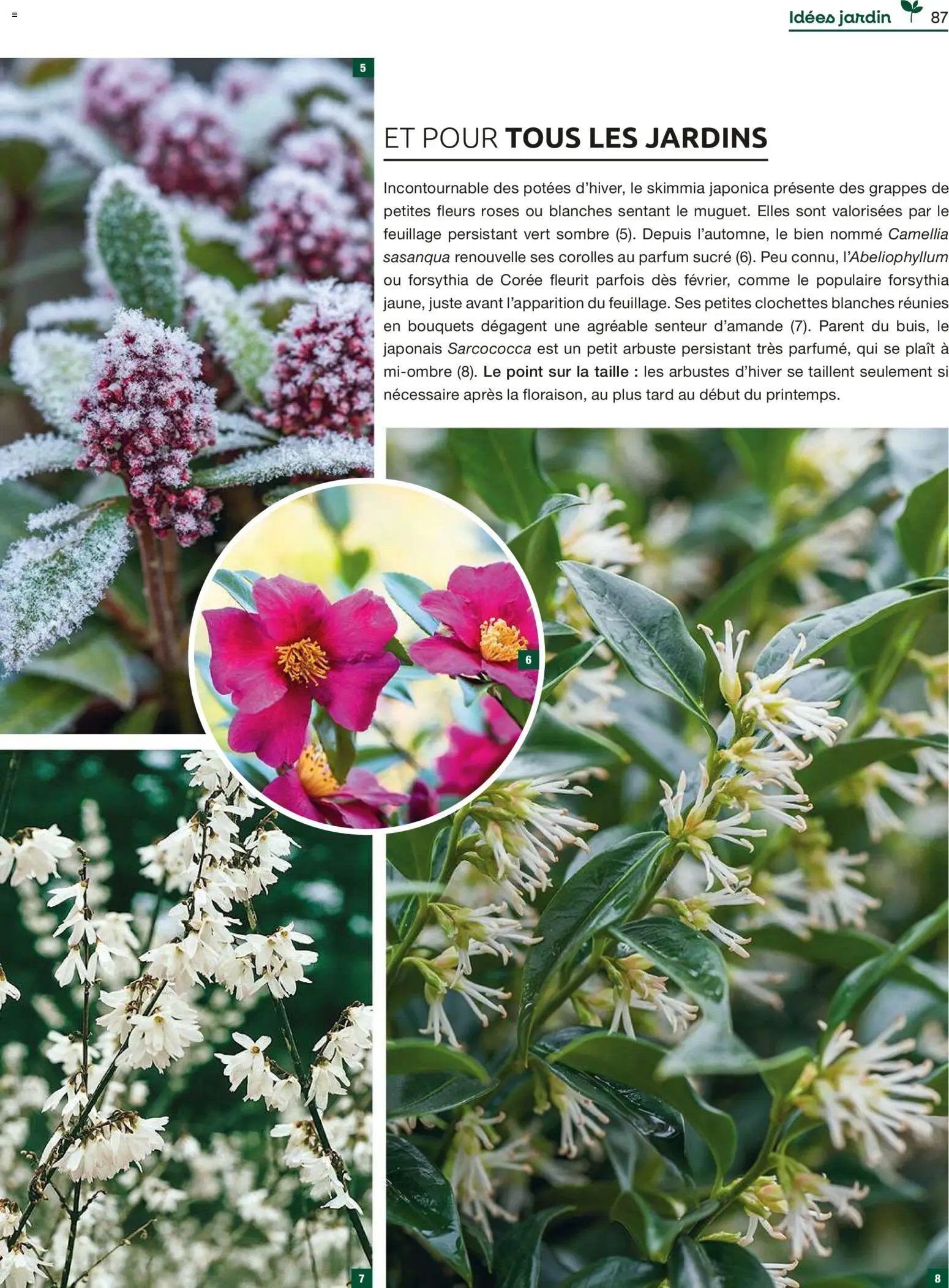 Mr. Bricolage catalogue (2025-12-01 - 2025-12-31)