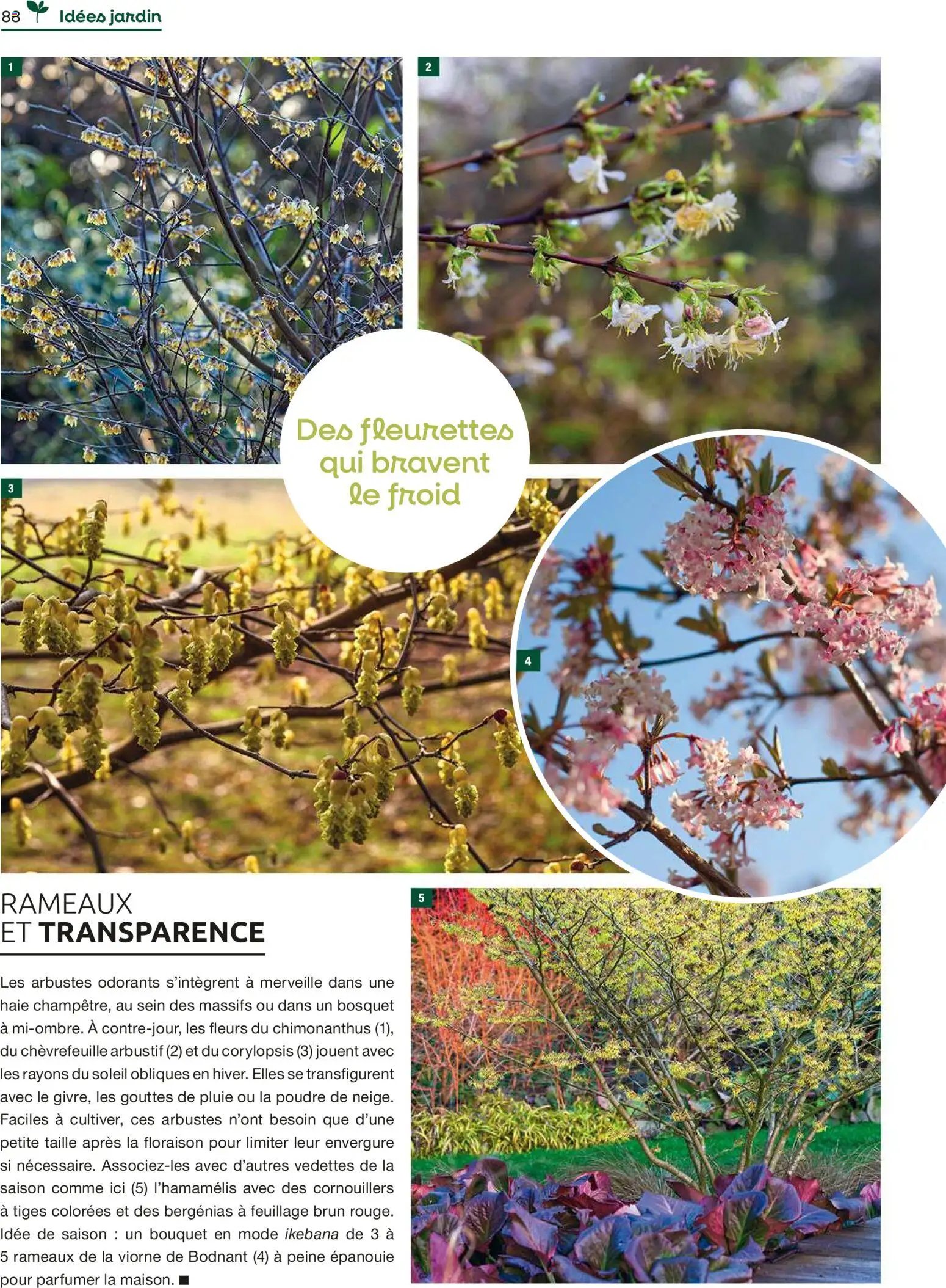 Mr. Bricolage catalogue (2025-12-01 - 2025-12-31)