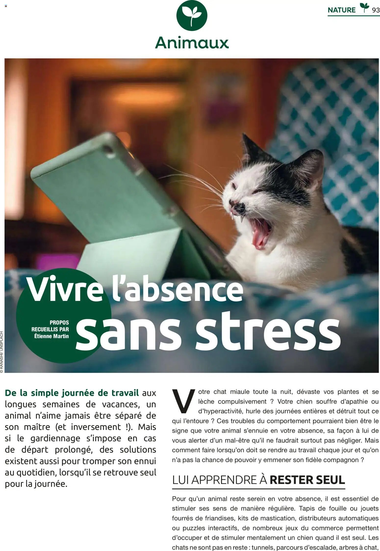 Mr. Bricolage catalogue (2025-12-01 - 2025-12-31)