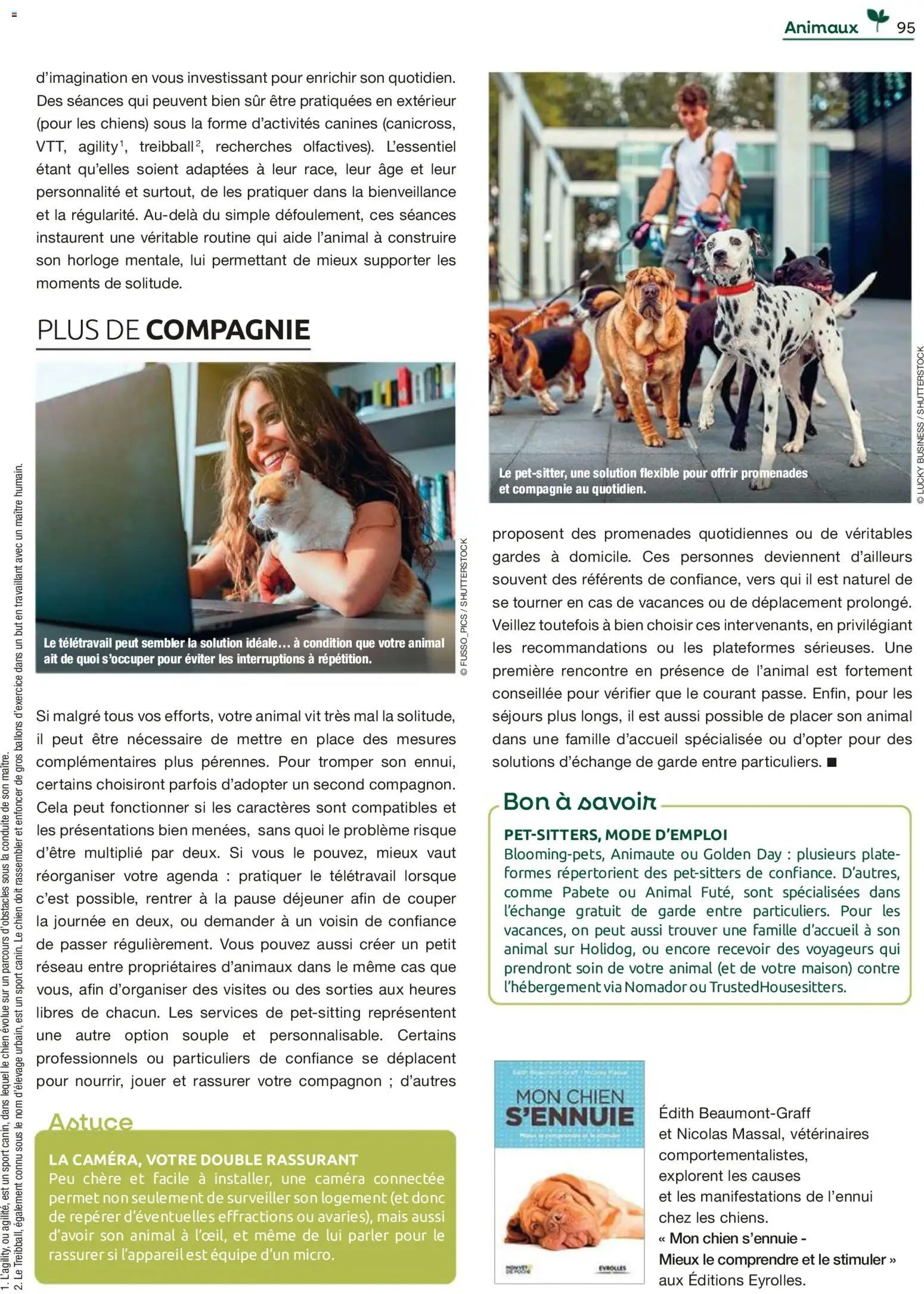 Mr. Bricolage catalogue (2025-12-01 - 2025-12-31)