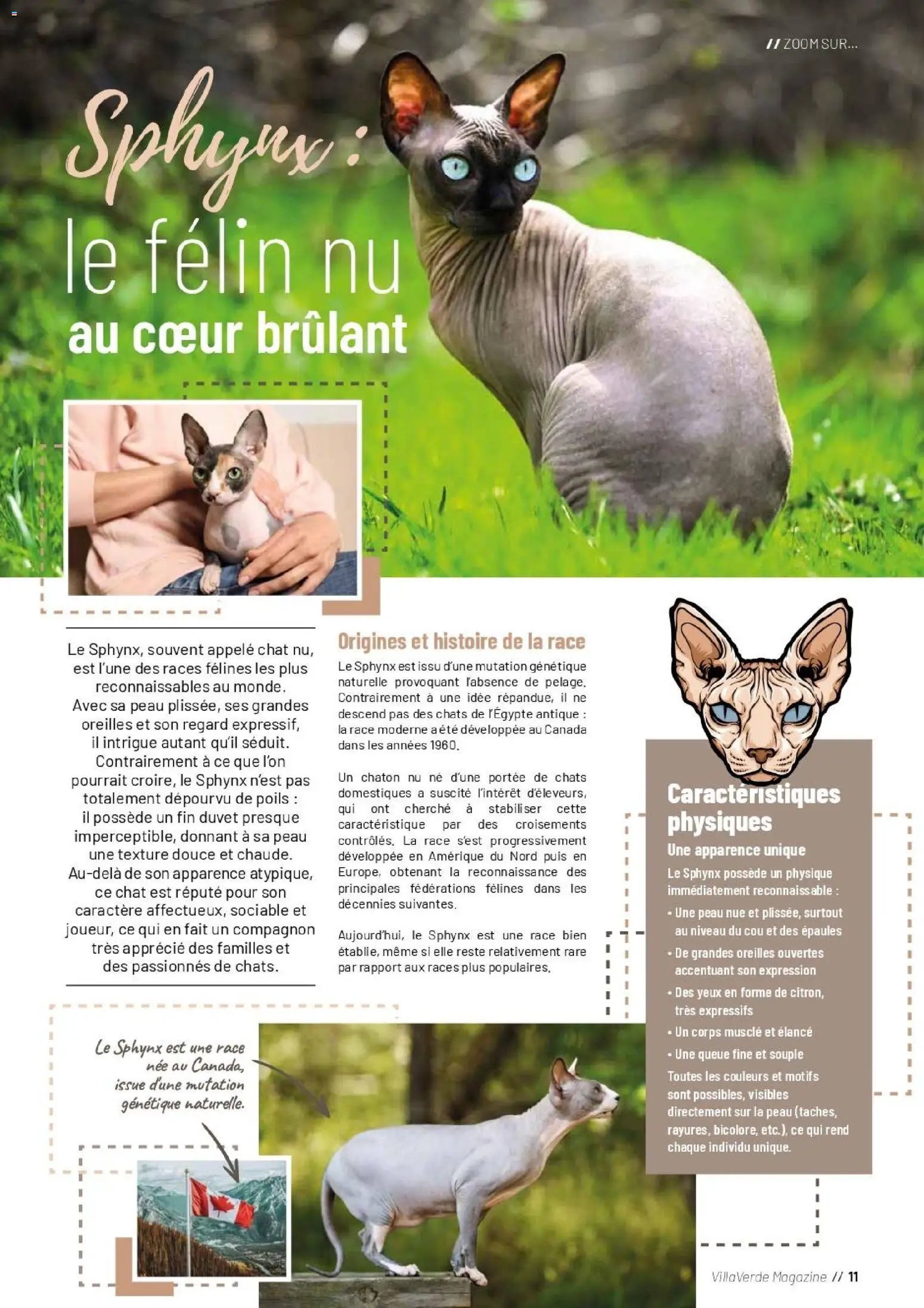 VillaVerde catalogue animalerie