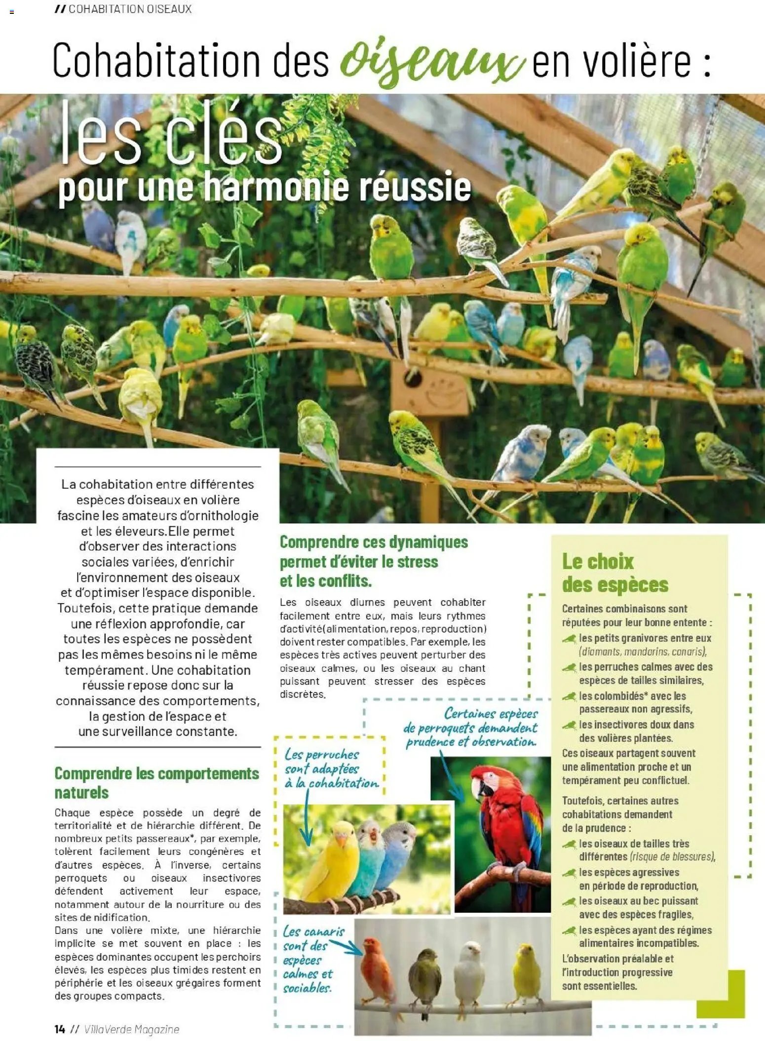 VillaVerde catalogue animalerie