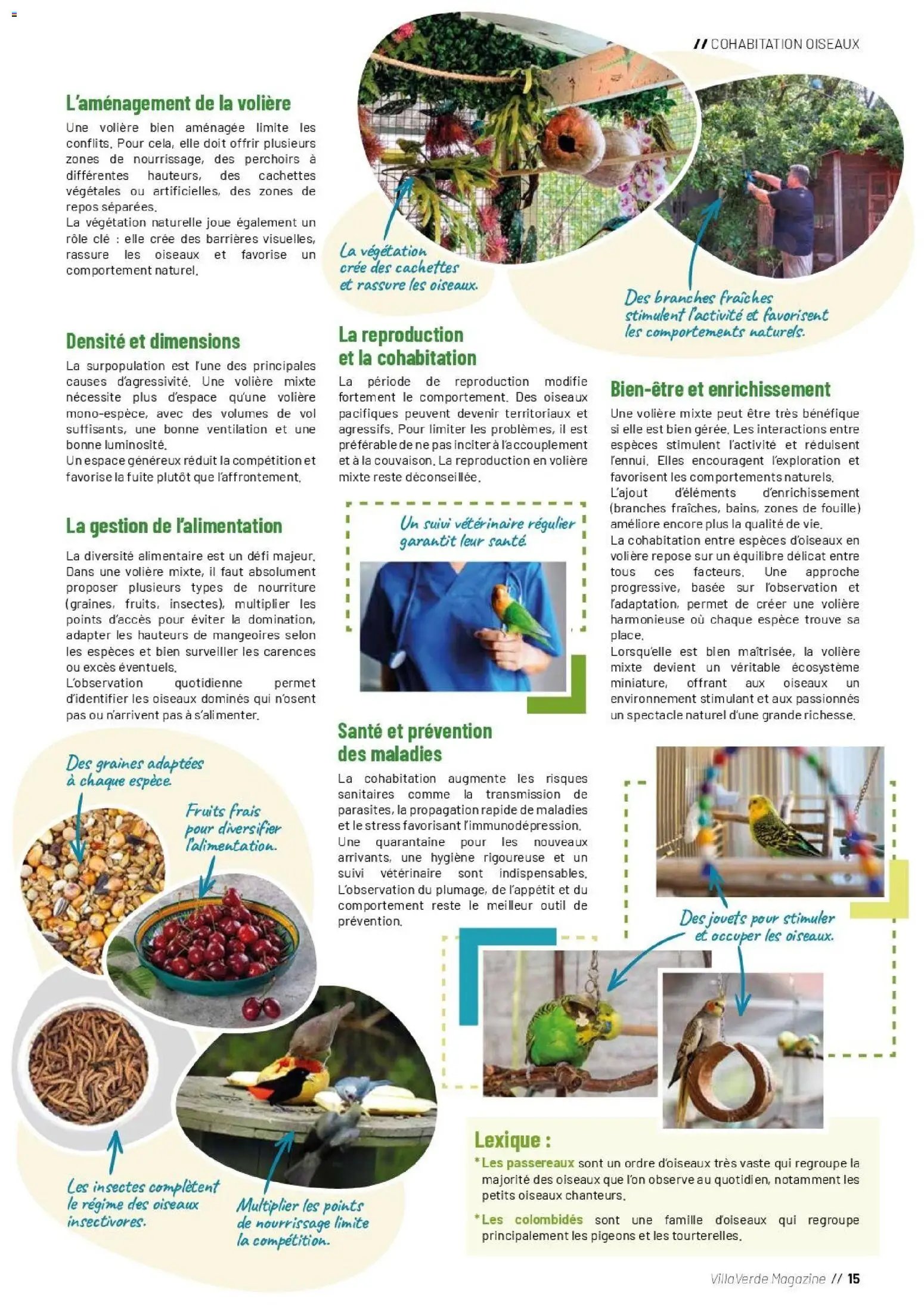 VillaVerde catalogue animalerie