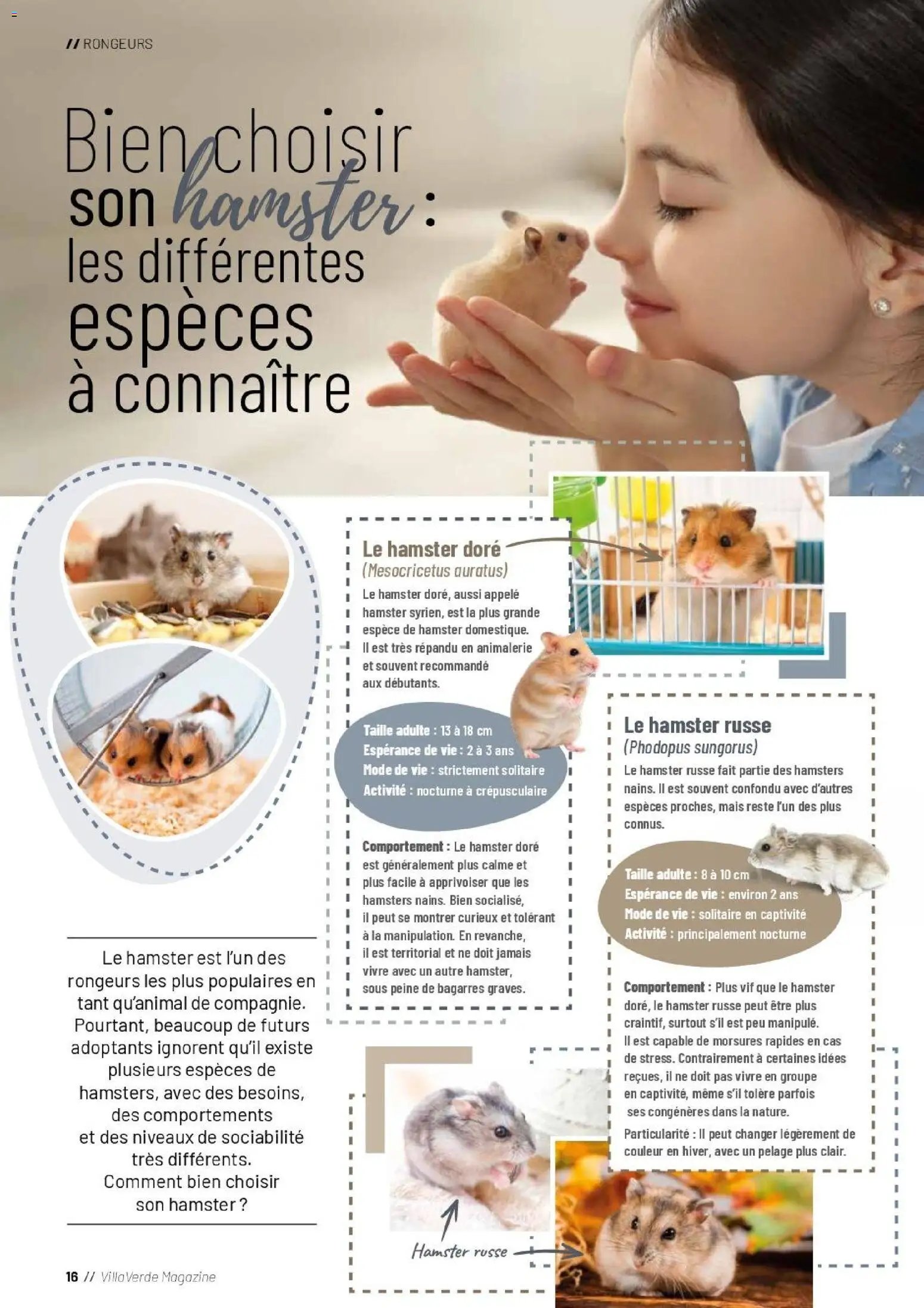 VillaVerde catalogue animalerie