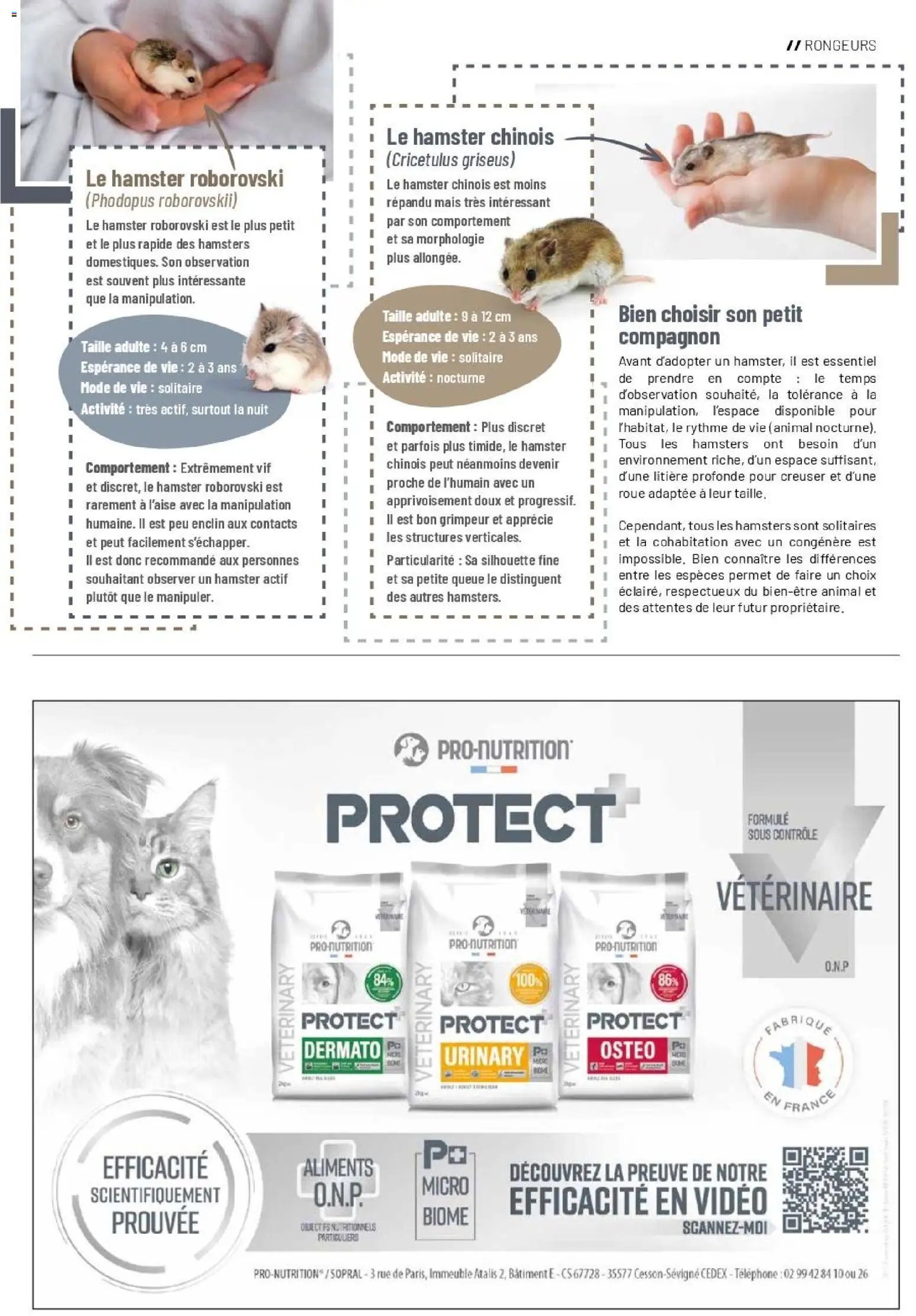 VillaVerde catalogue animalerie
