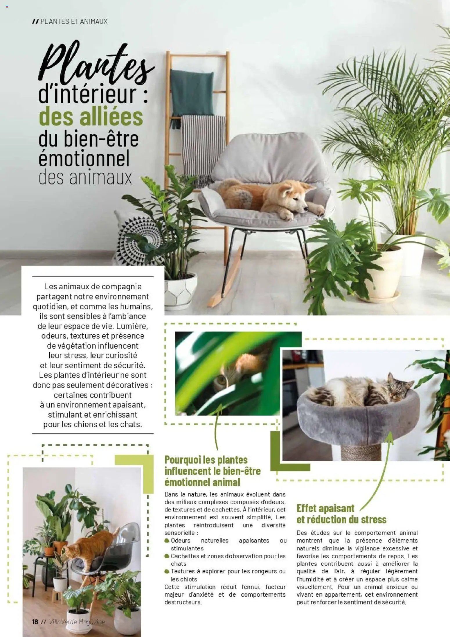 VillaVerde catalogue animalerie