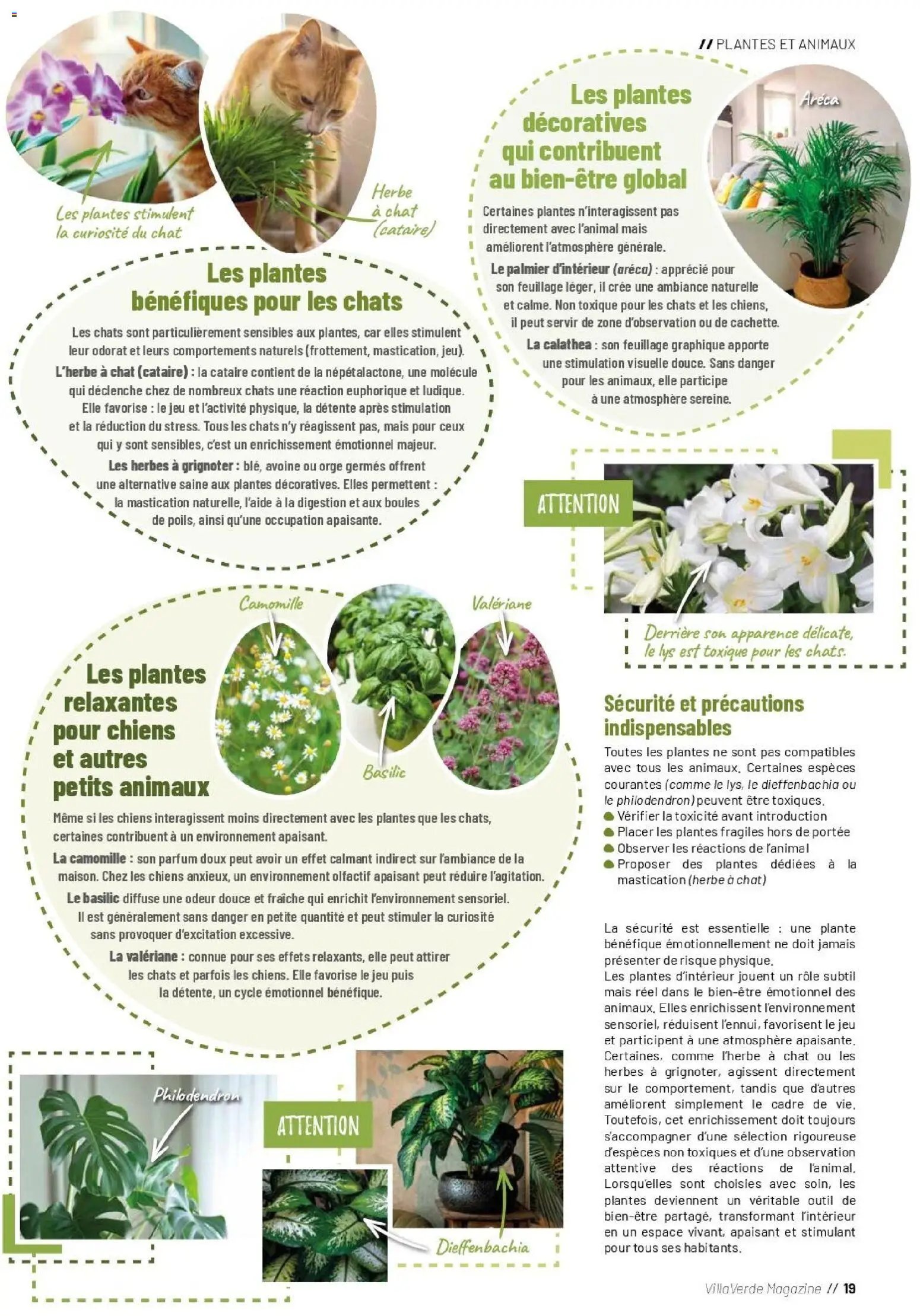 VillaVerde catalogue animalerie
