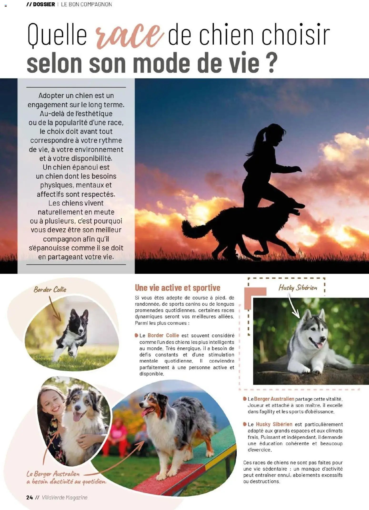 VillaVerde catalogue animalerie