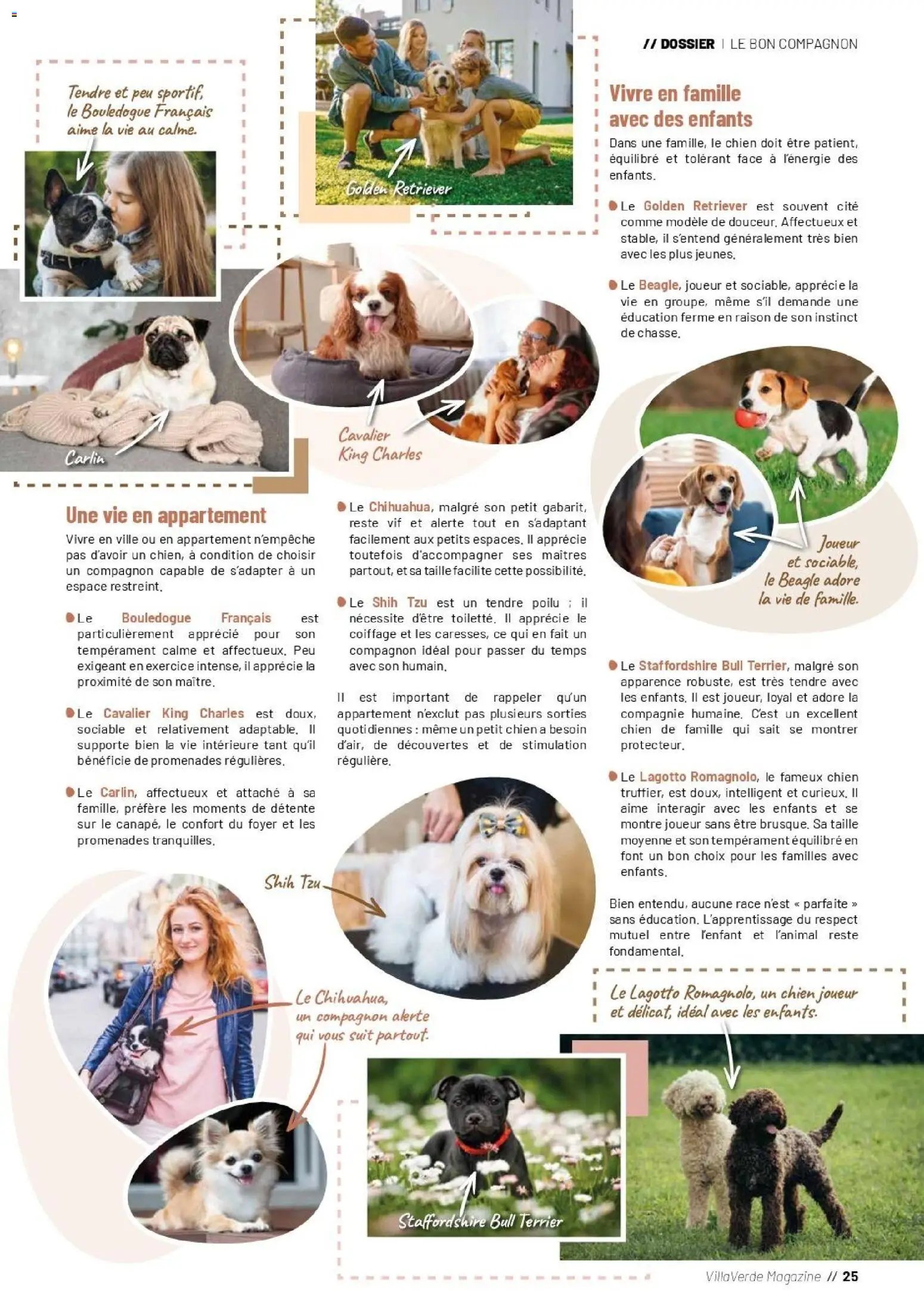 VillaVerde catalogue animalerie