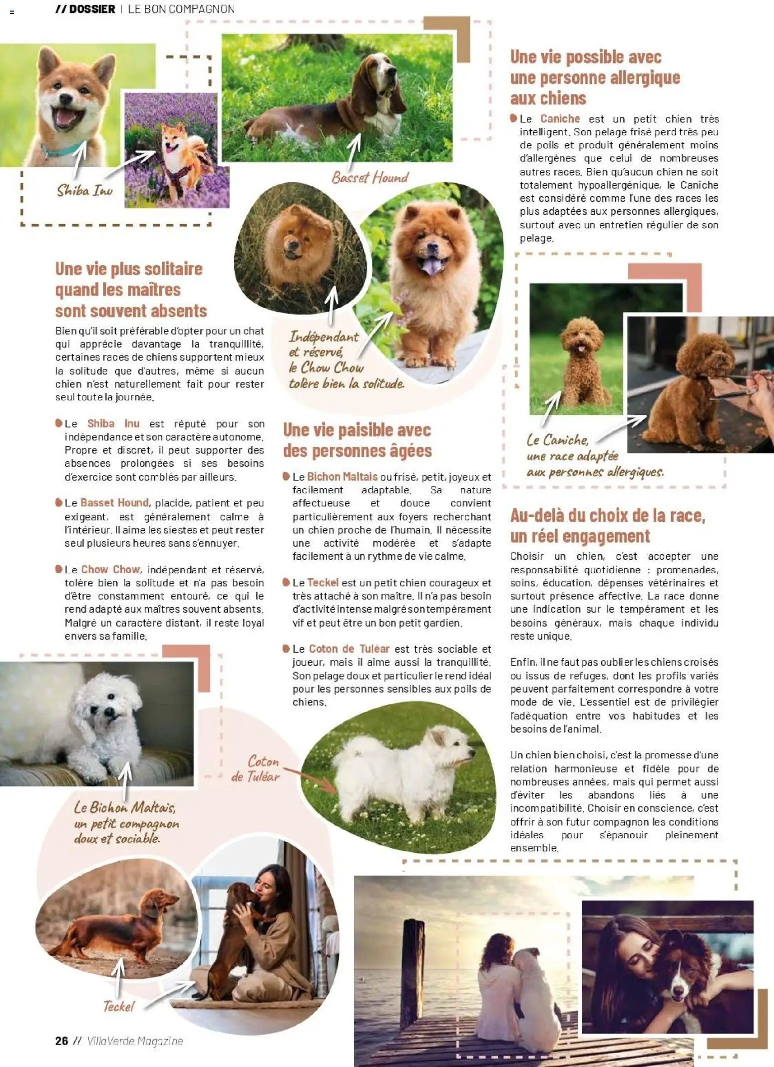 VillaVerde catalogue animalerie