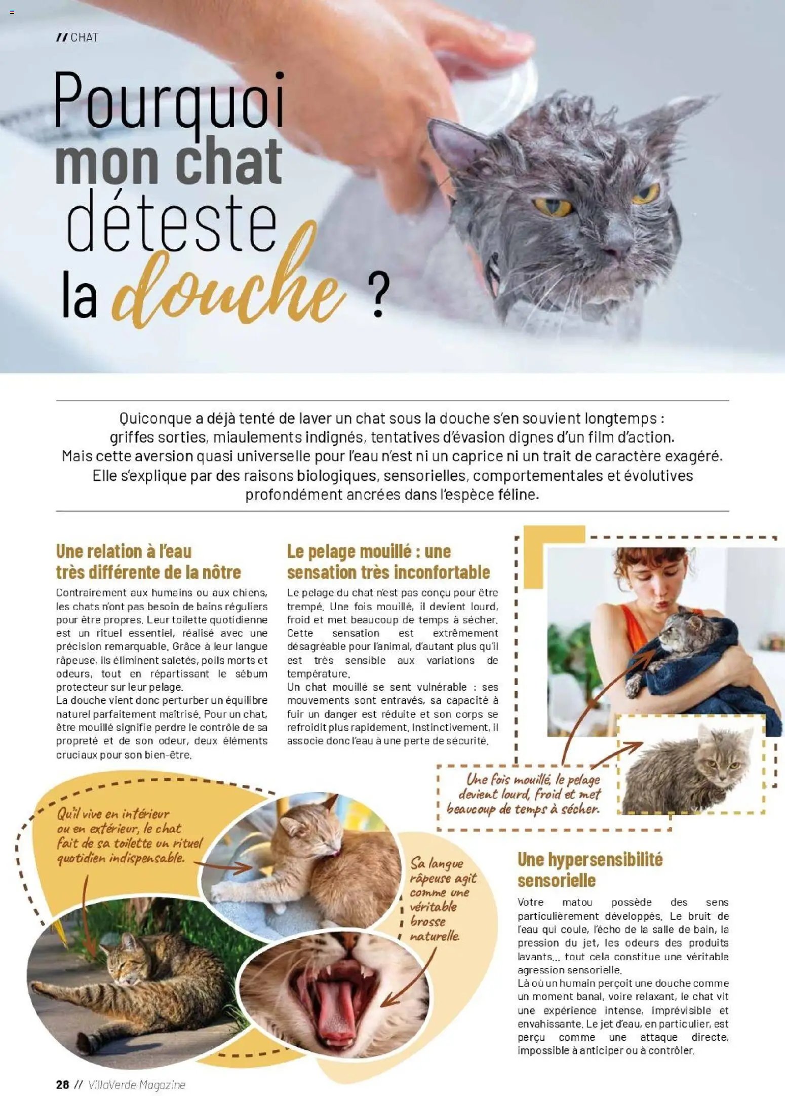 VillaVerde catalogue animalerie