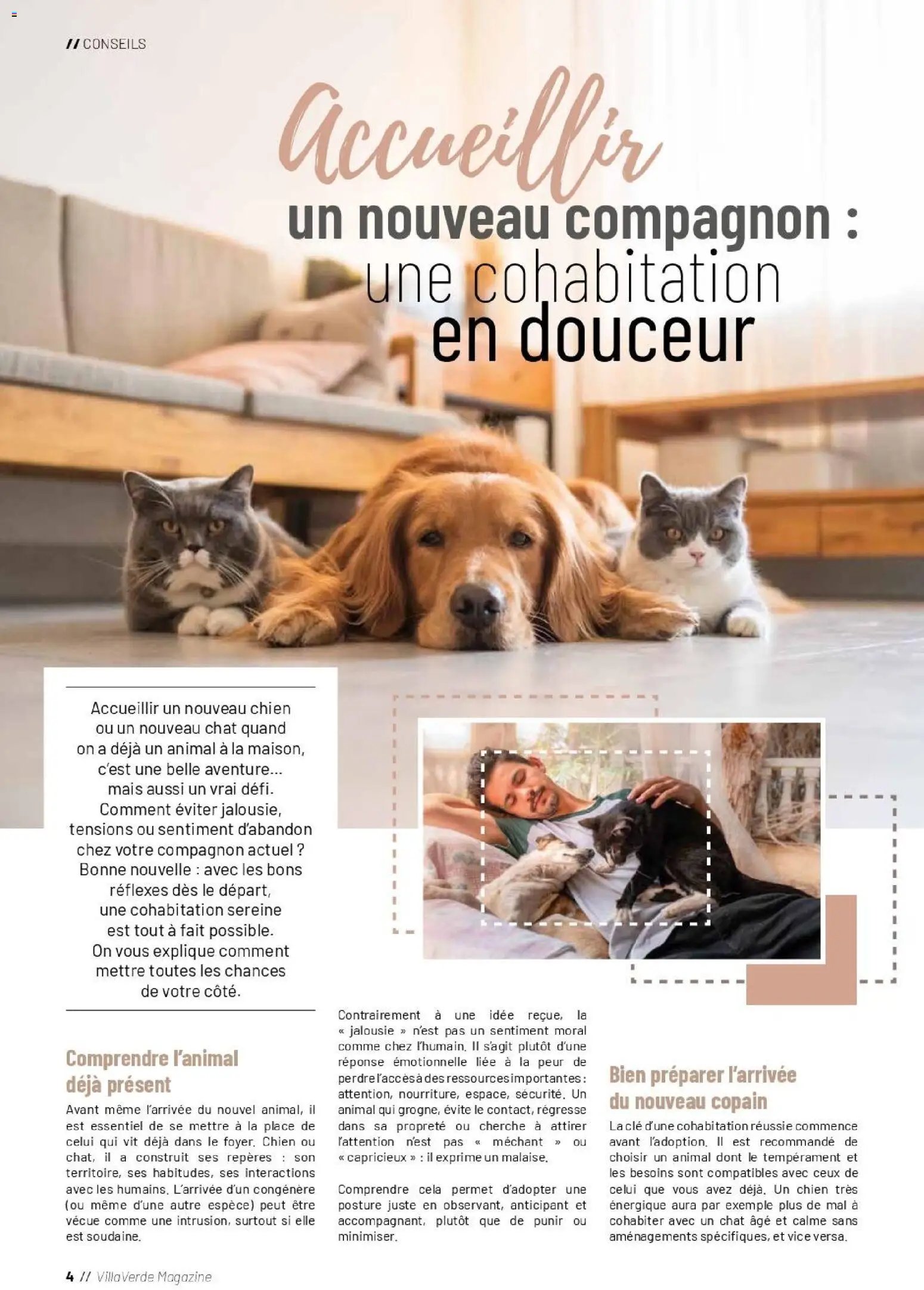 VillaVerde catalogue animalerie