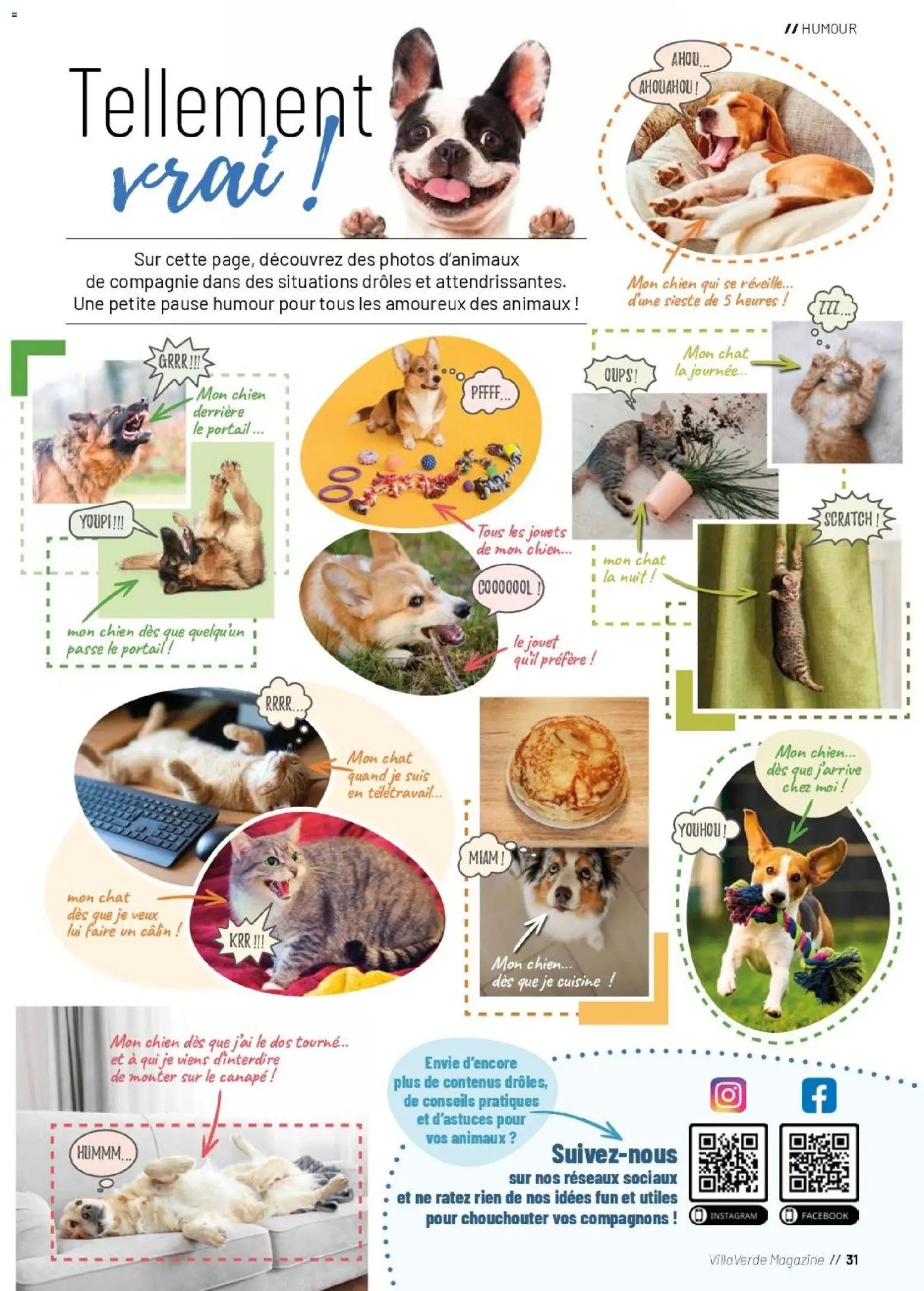 VillaVerde catalogue animalerie