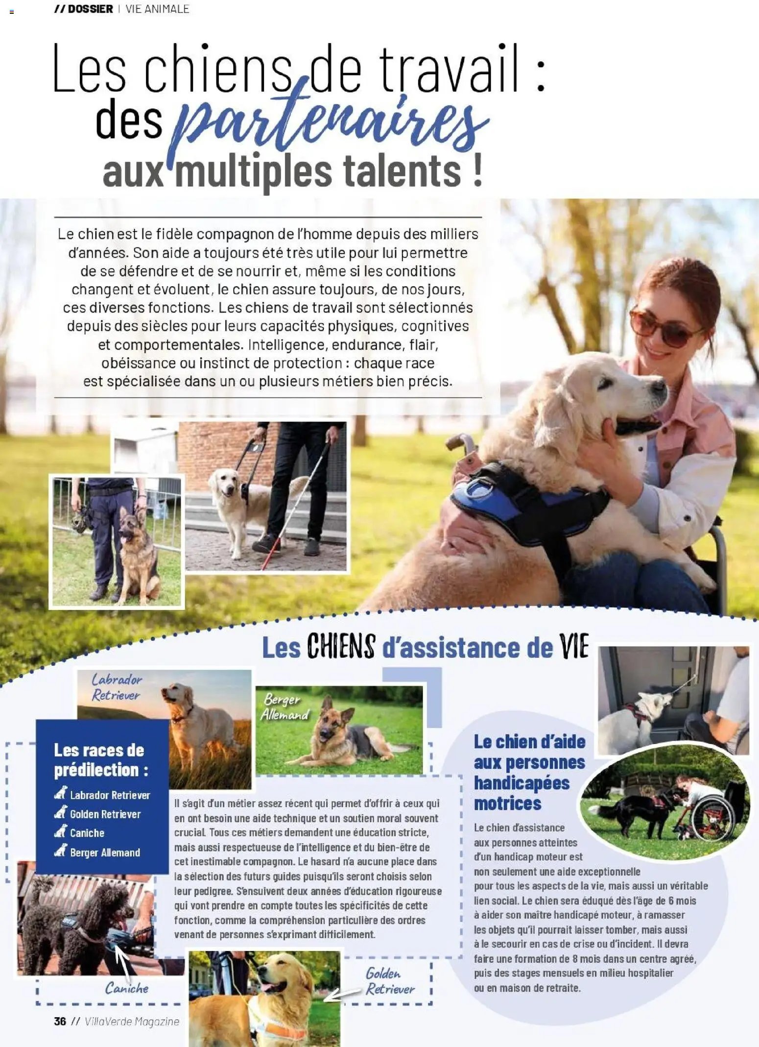 VillaVerde catalogue animalerie