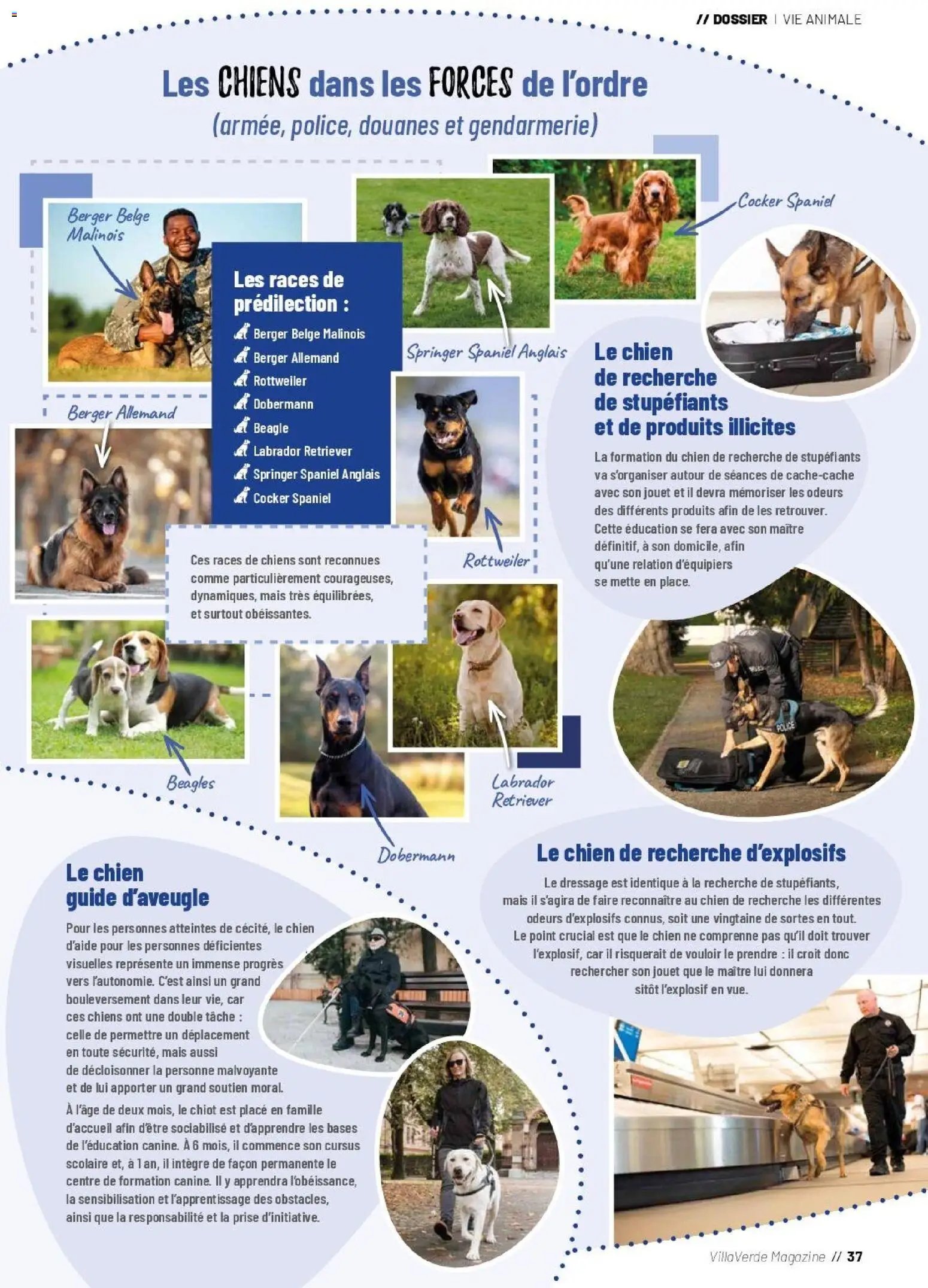 VillaVerde catalogue animalerie