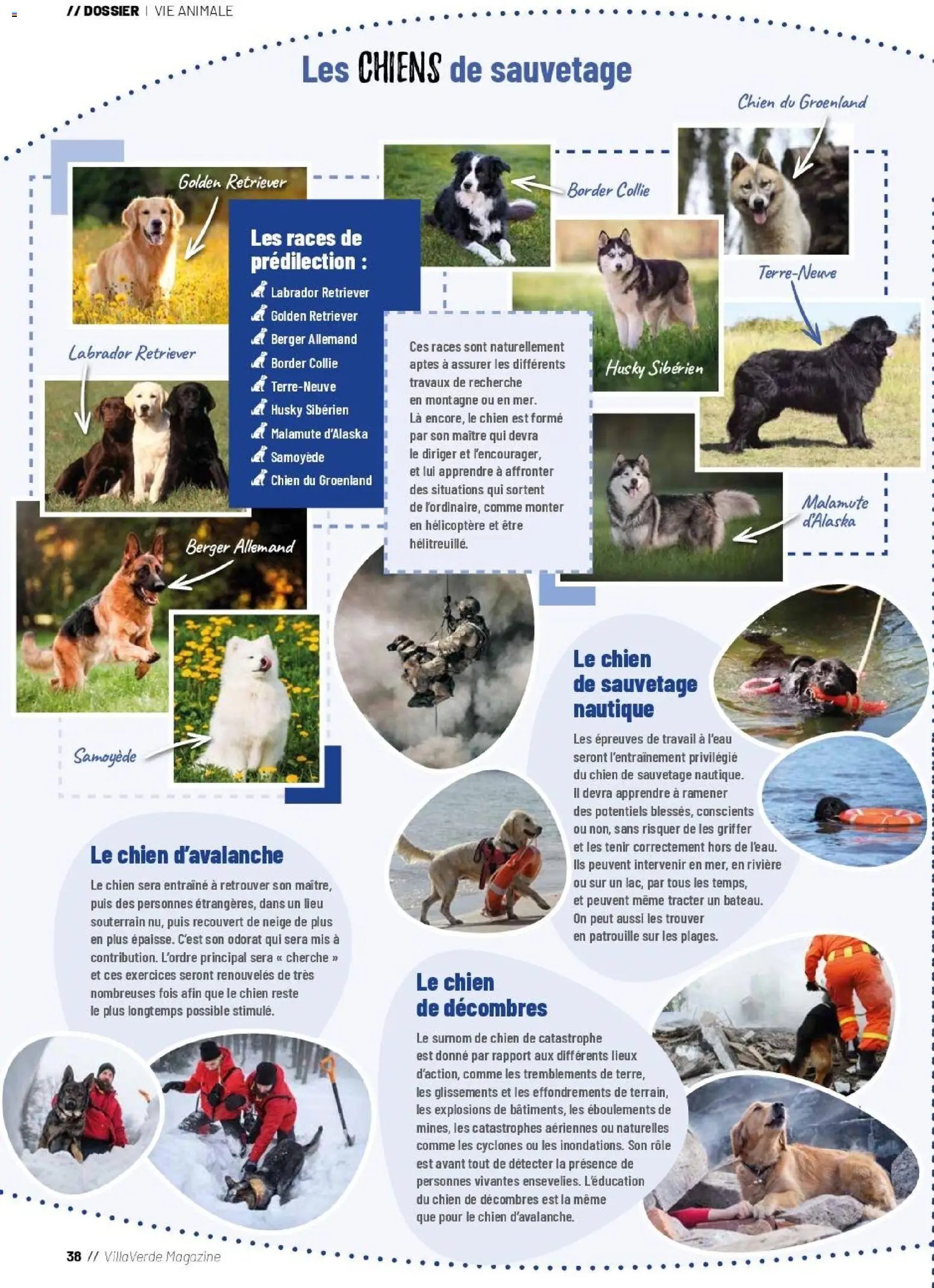 VillaVerde catalogue animalerie