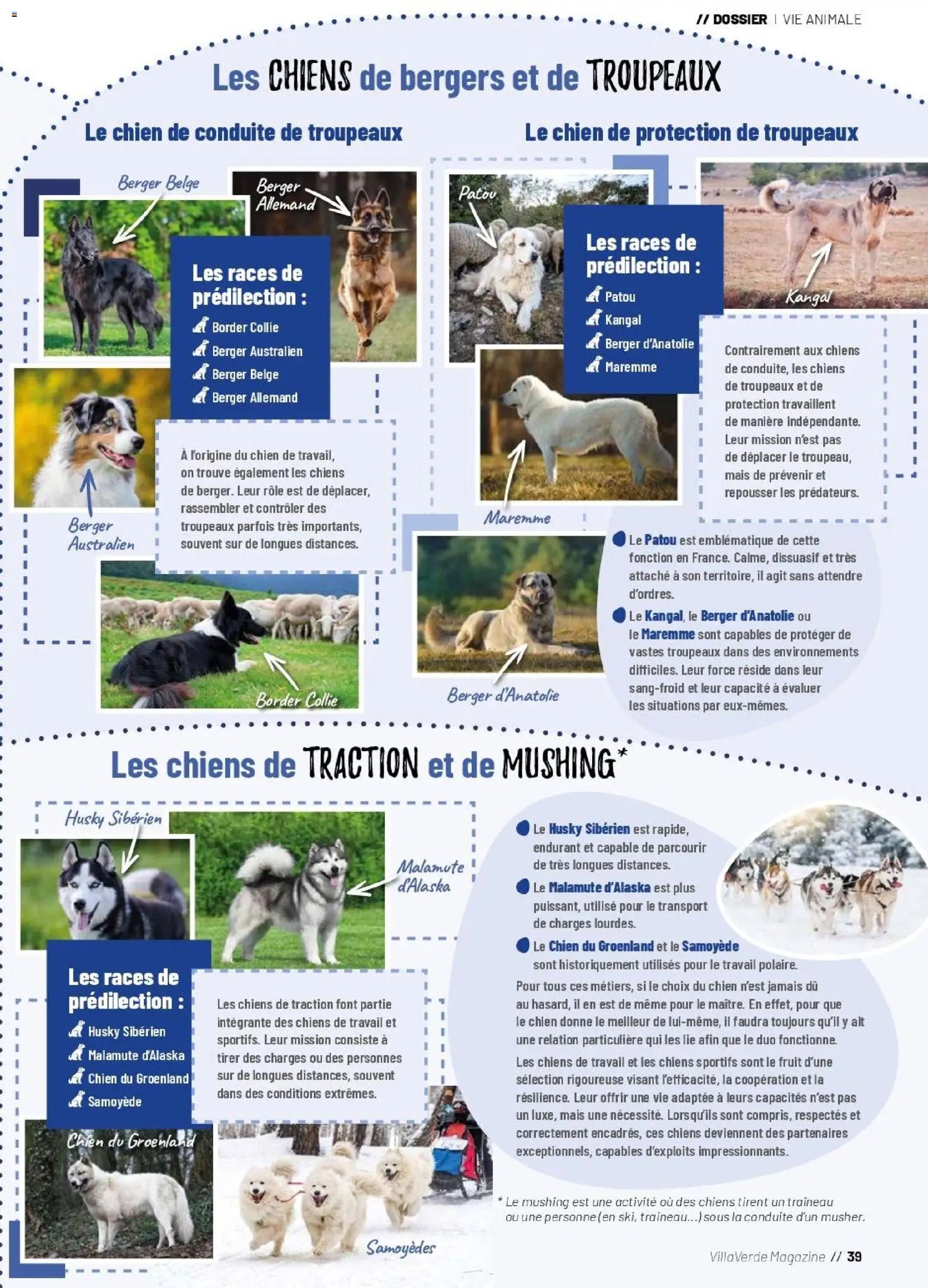 VillaVerde catalogue animalerie