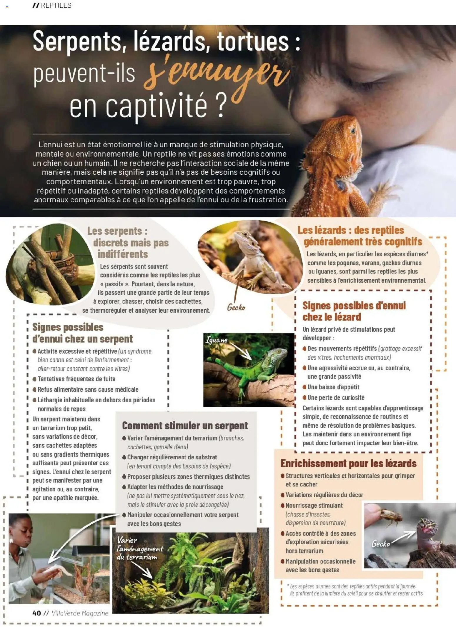 VillaVerde catalogue animalerie