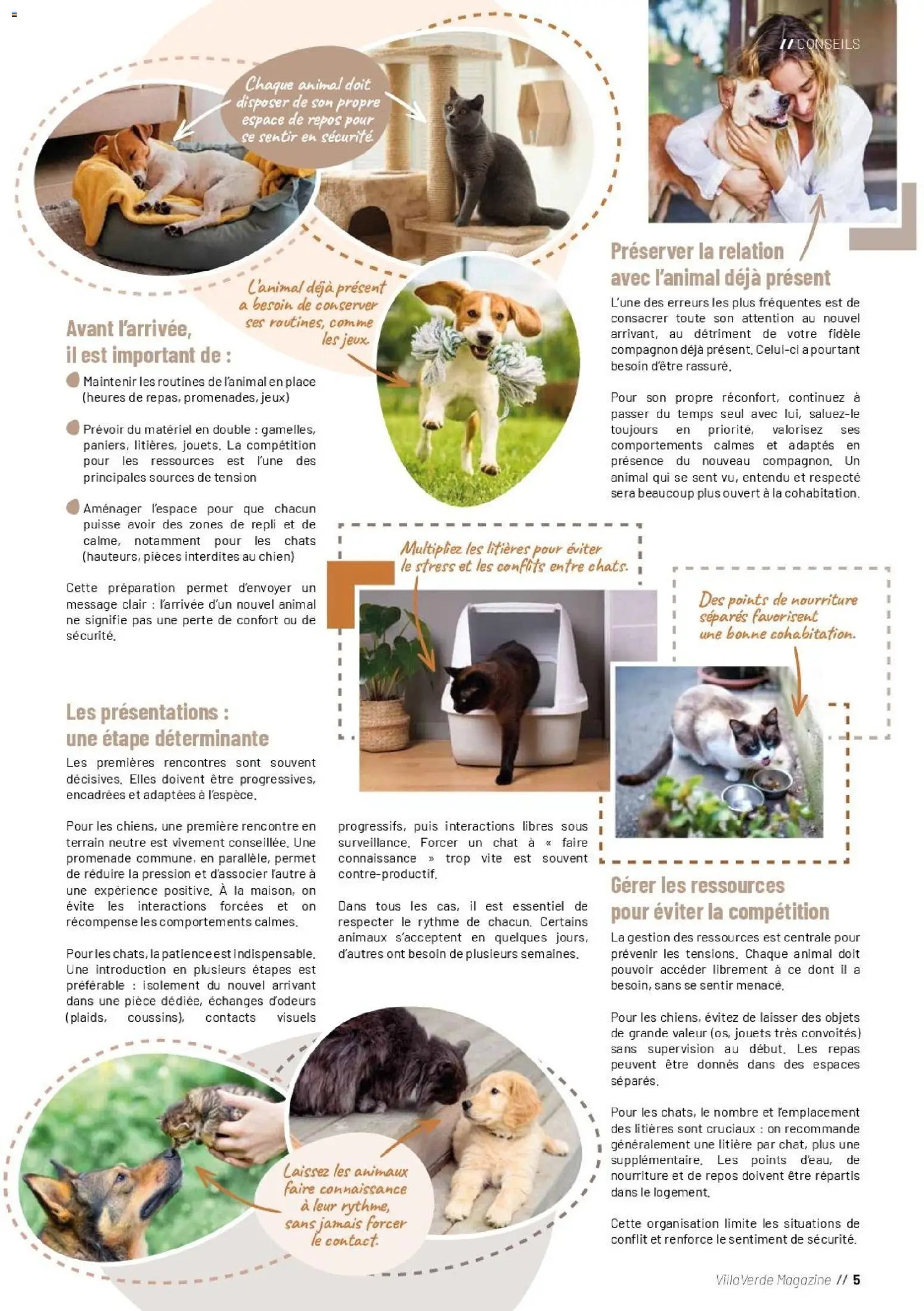 VillaVerde catalogue animalerie