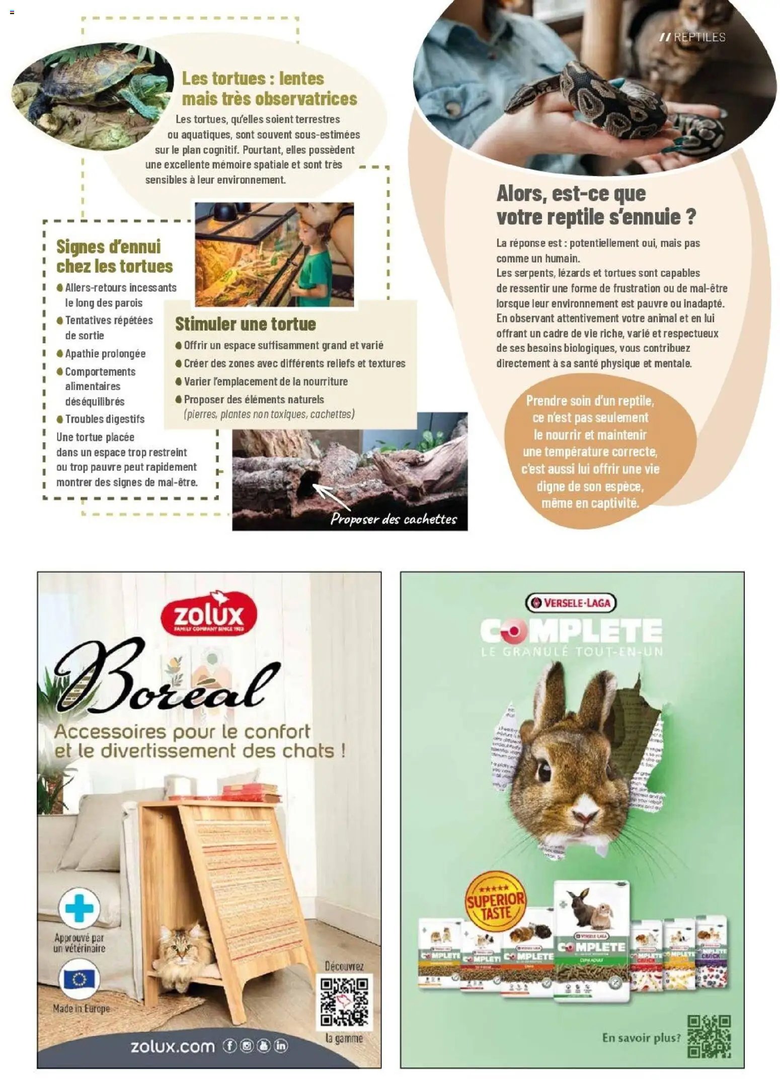 VillaVerde catalogue animalerie