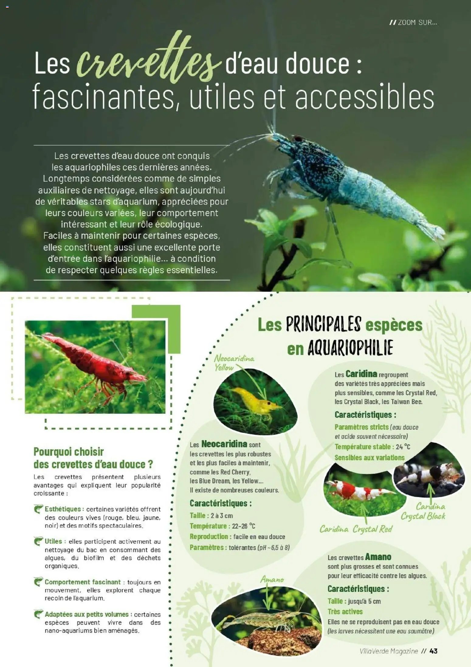 VillaVerde catalogue animalerie