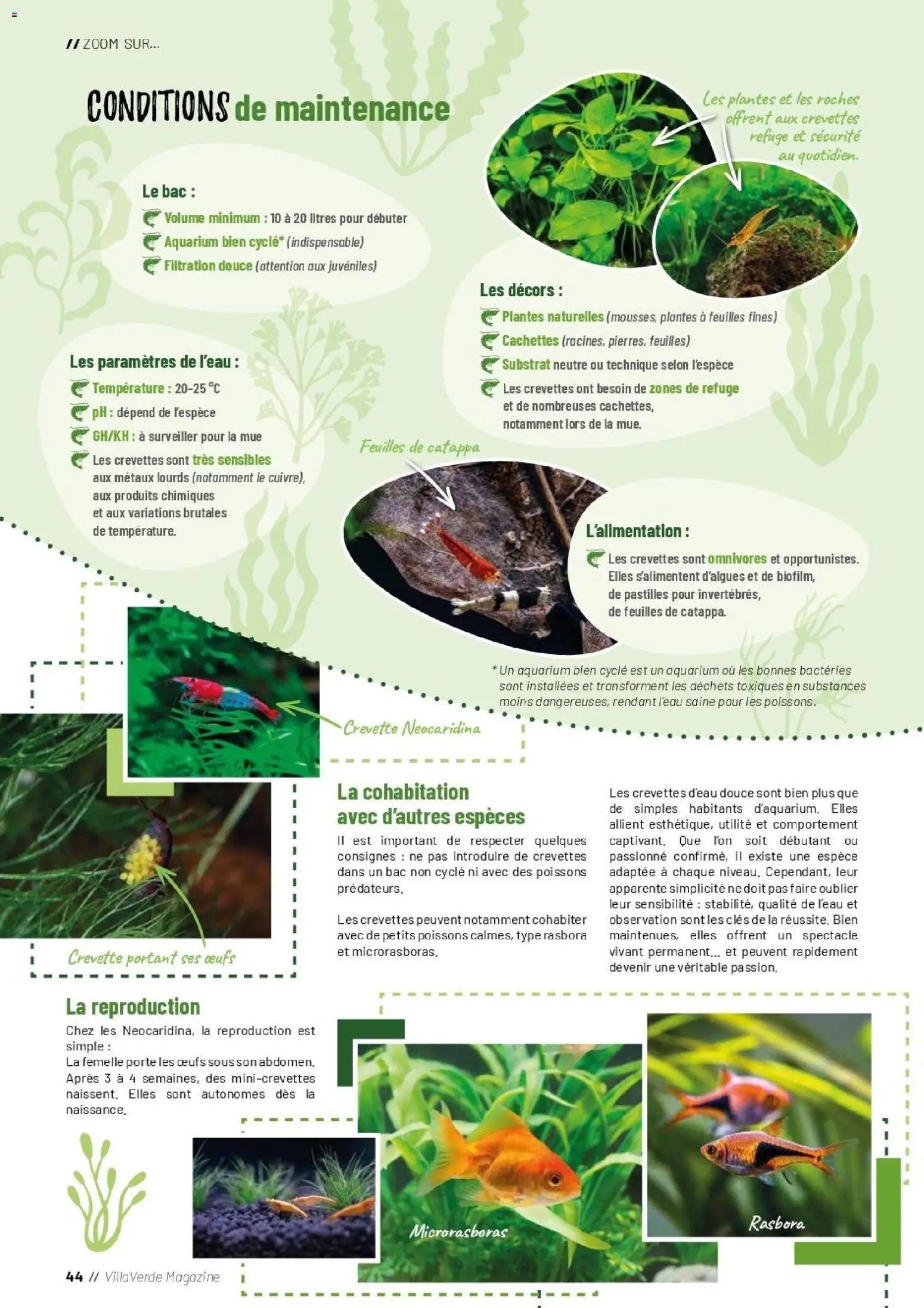 VillaVerde catalogue animalerie