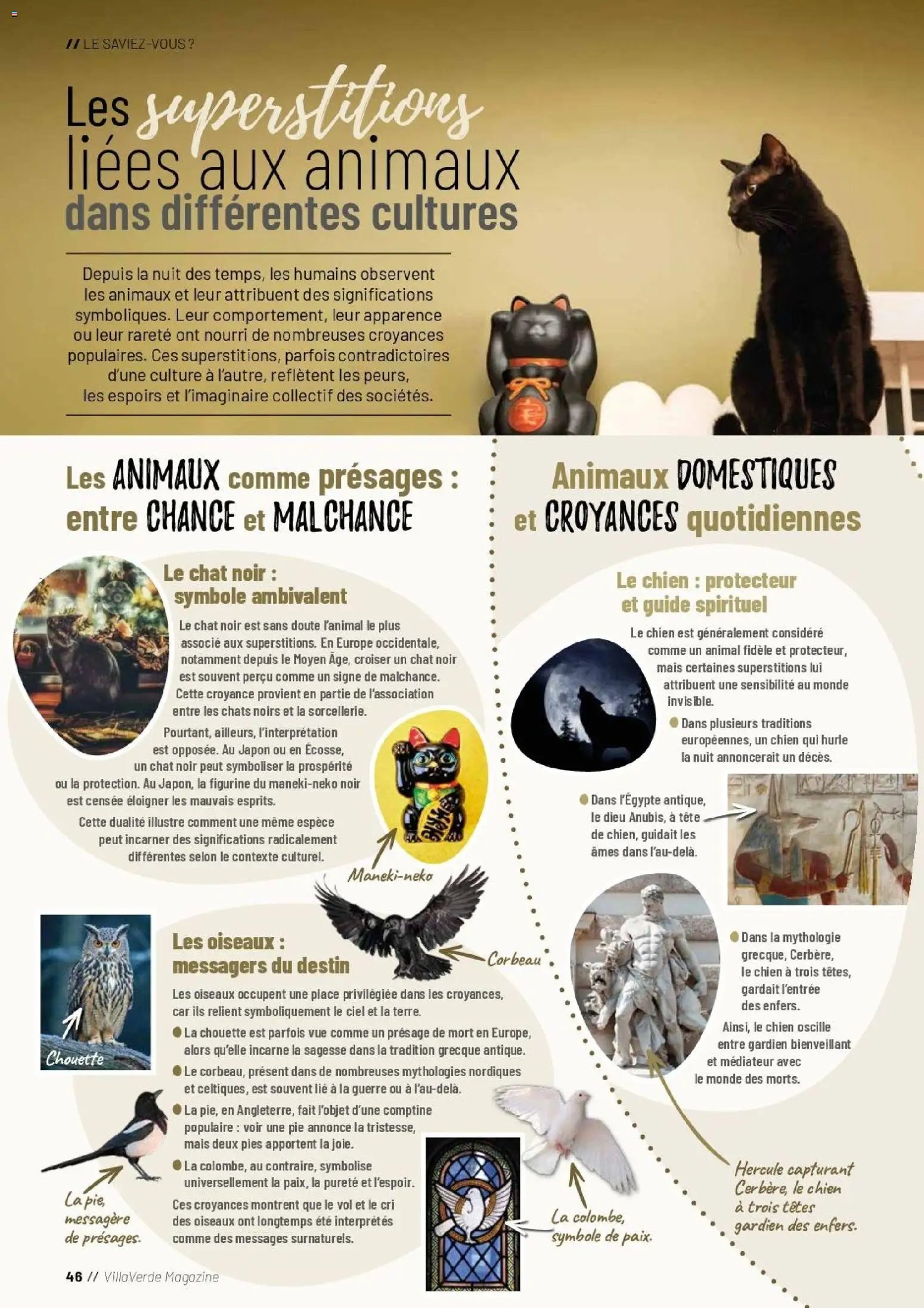 VillaVerde catalogue animalerie