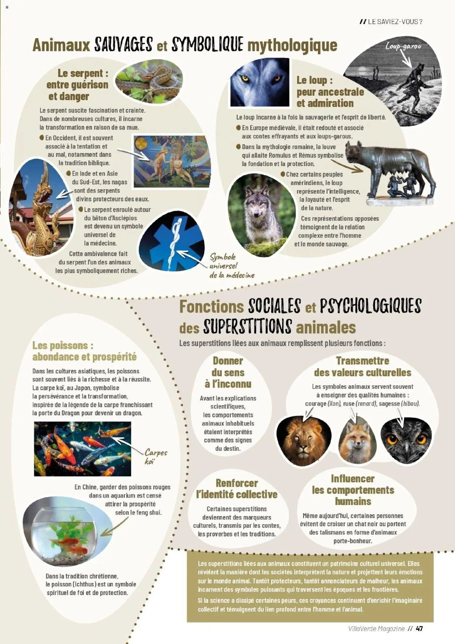 VillaVerde catalogue animalerie