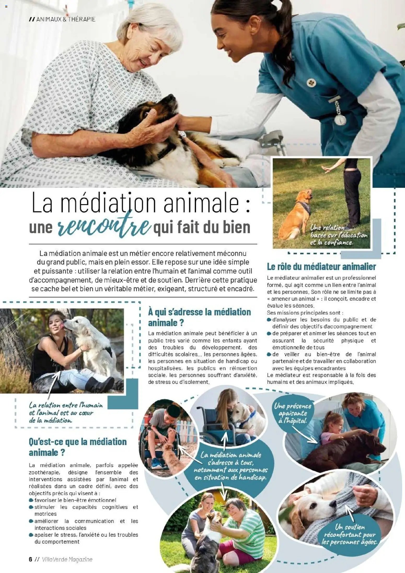 VillaVerde catalogue animalerie