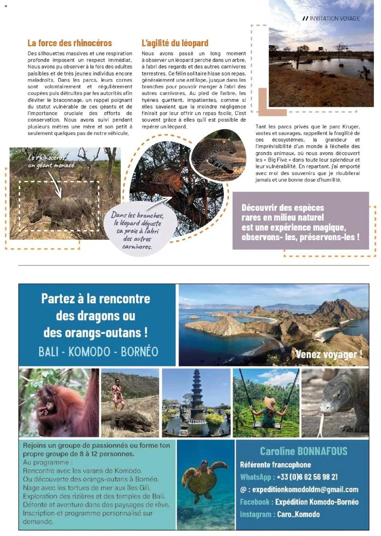 VillaVerde catalogue animalerie