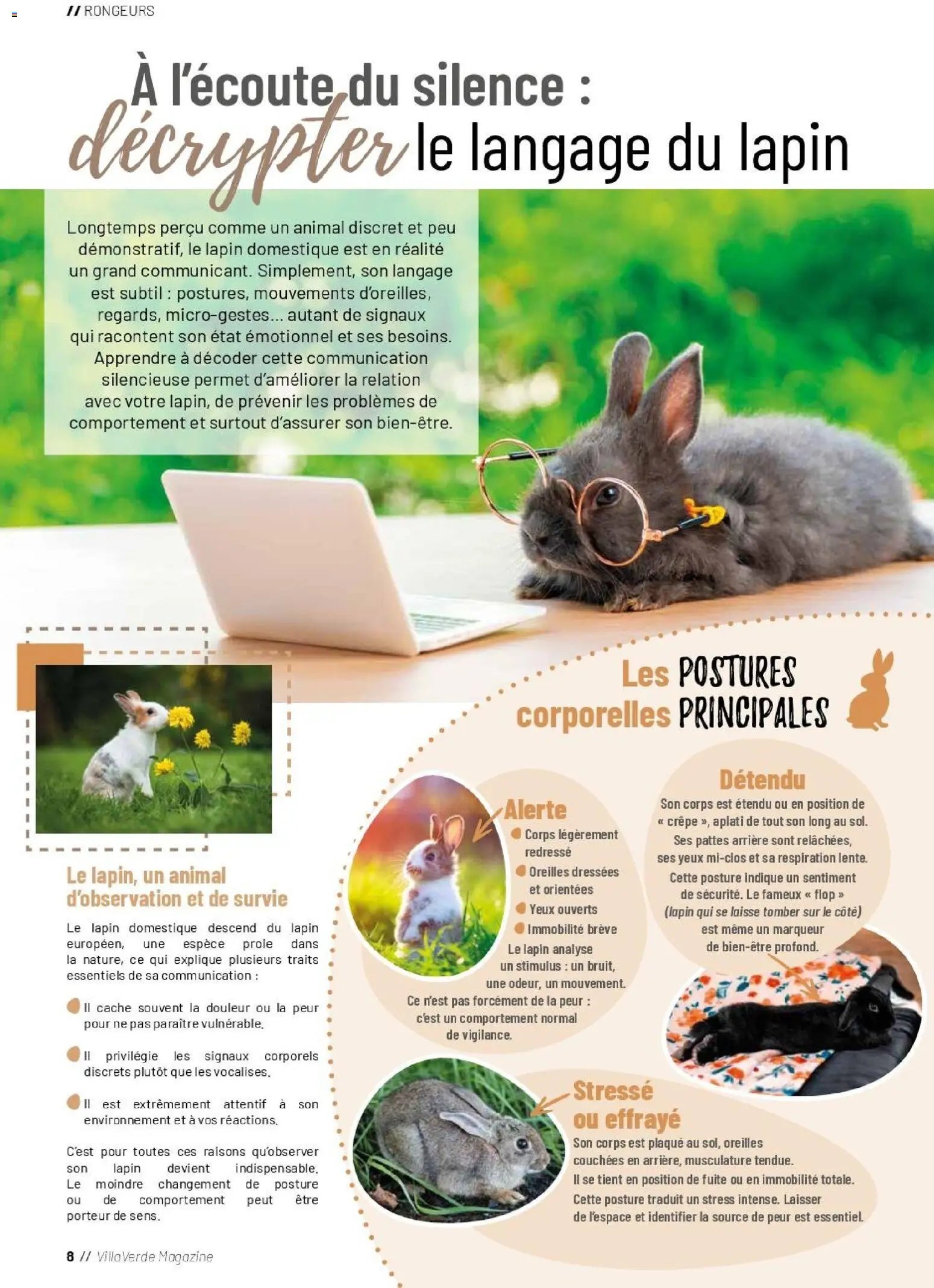 VillaVerde catalogue animalerie
