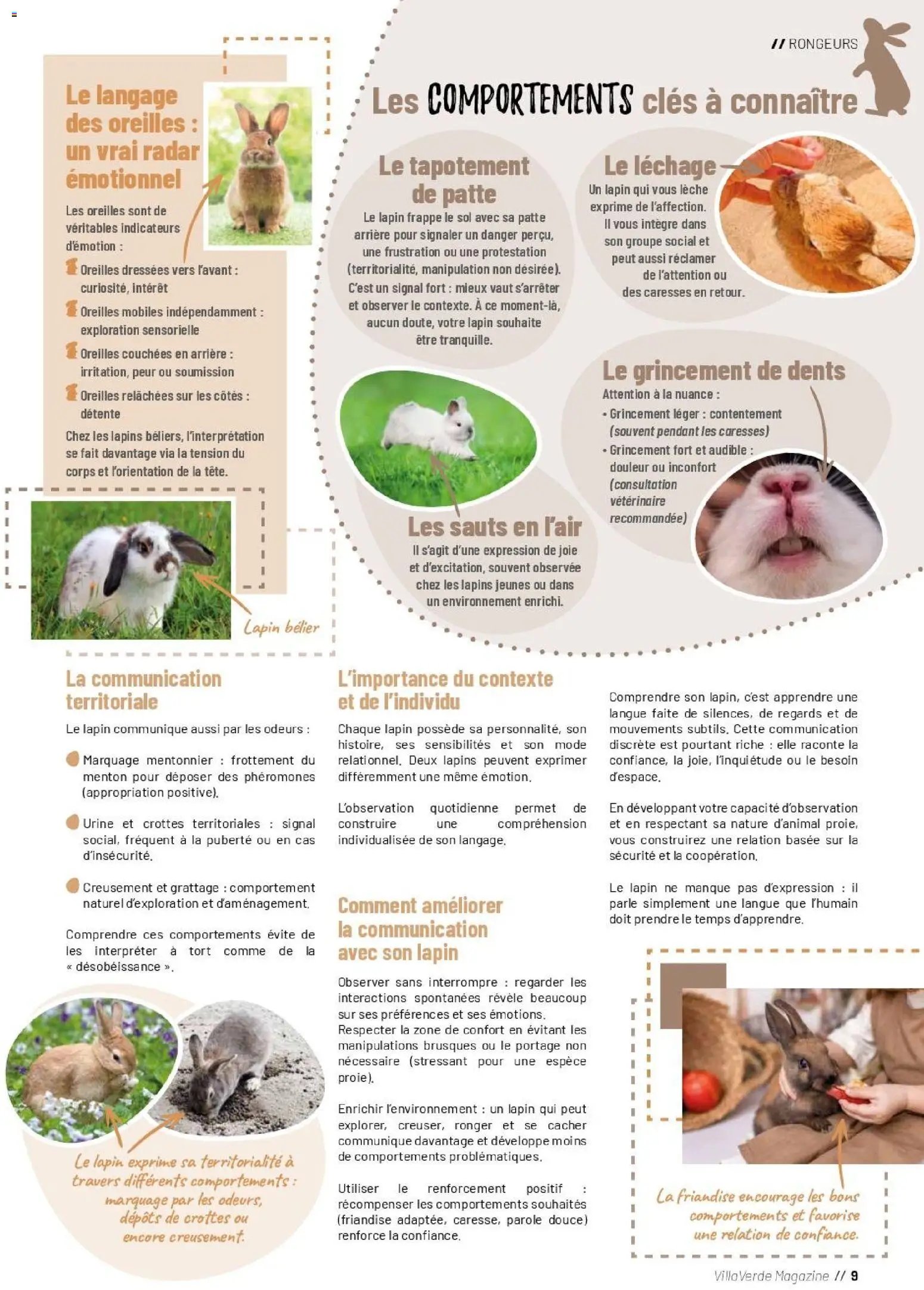 VillaVerde catalogue animalerie