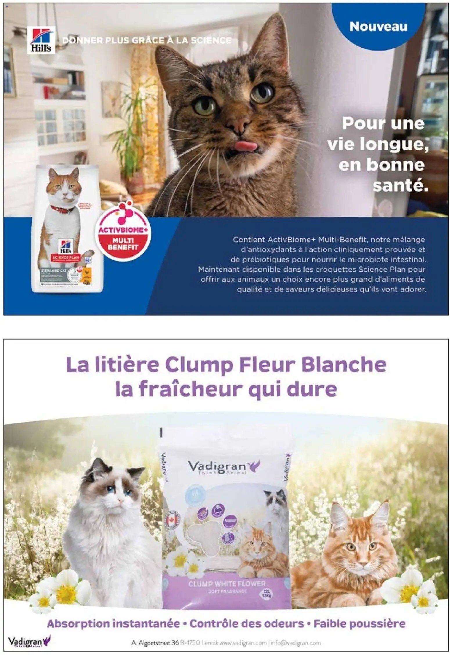 VillaVerde catalogue animalerie