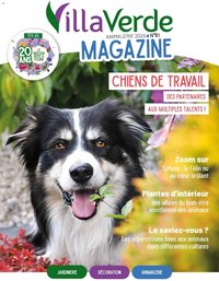 VillaVerde catalogue animalerie