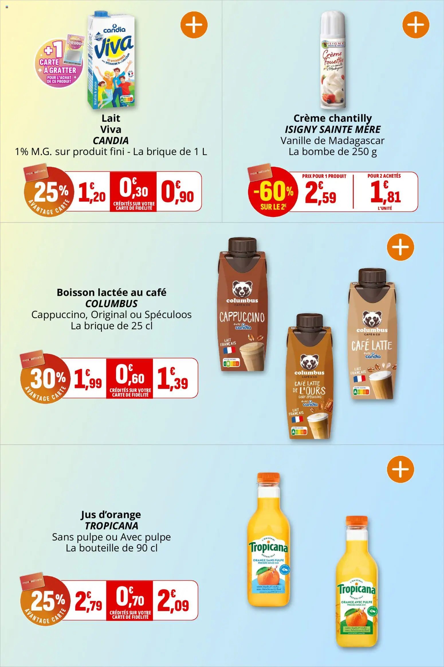 Coccinelle catalogue