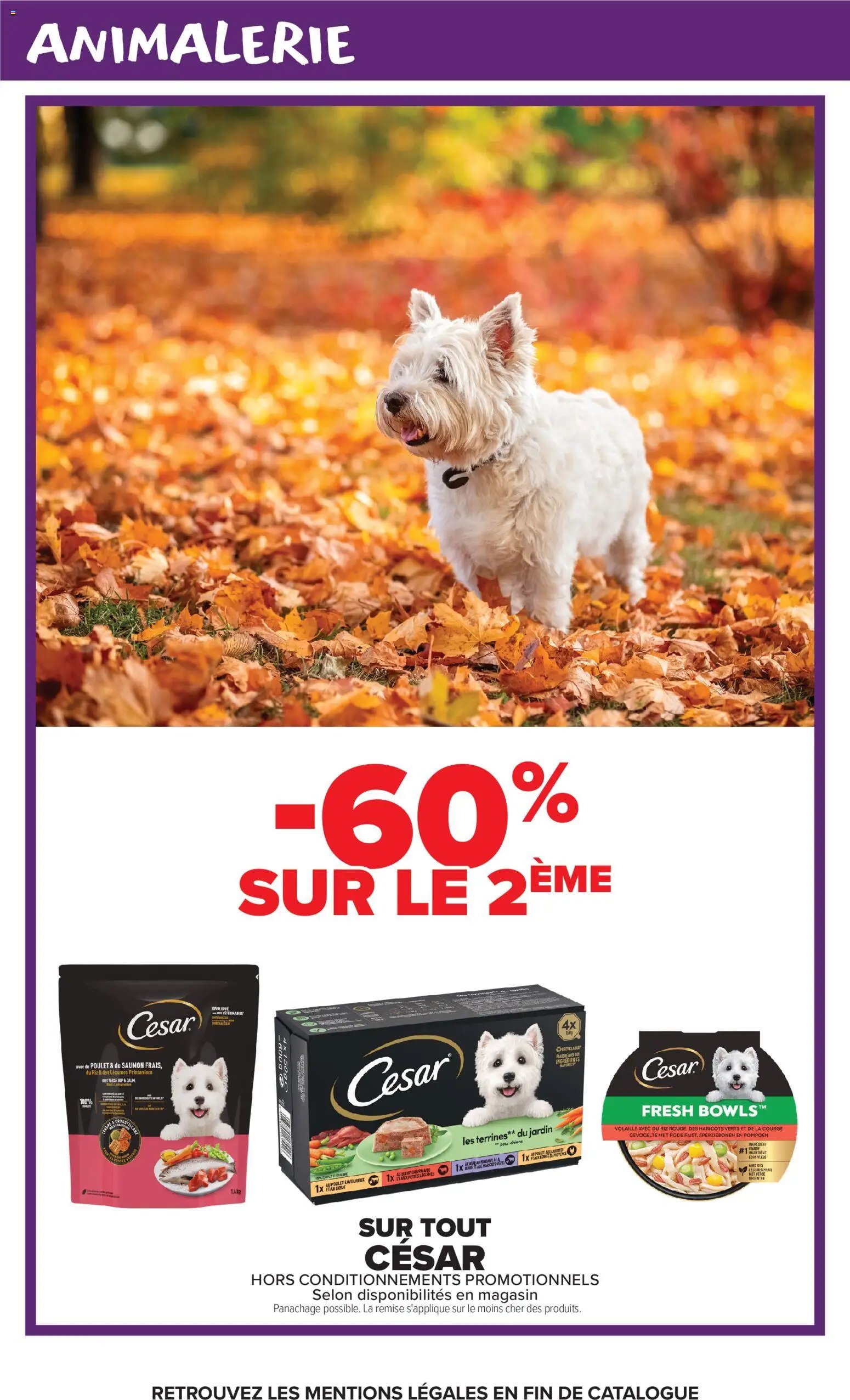 Carrefour catalogue