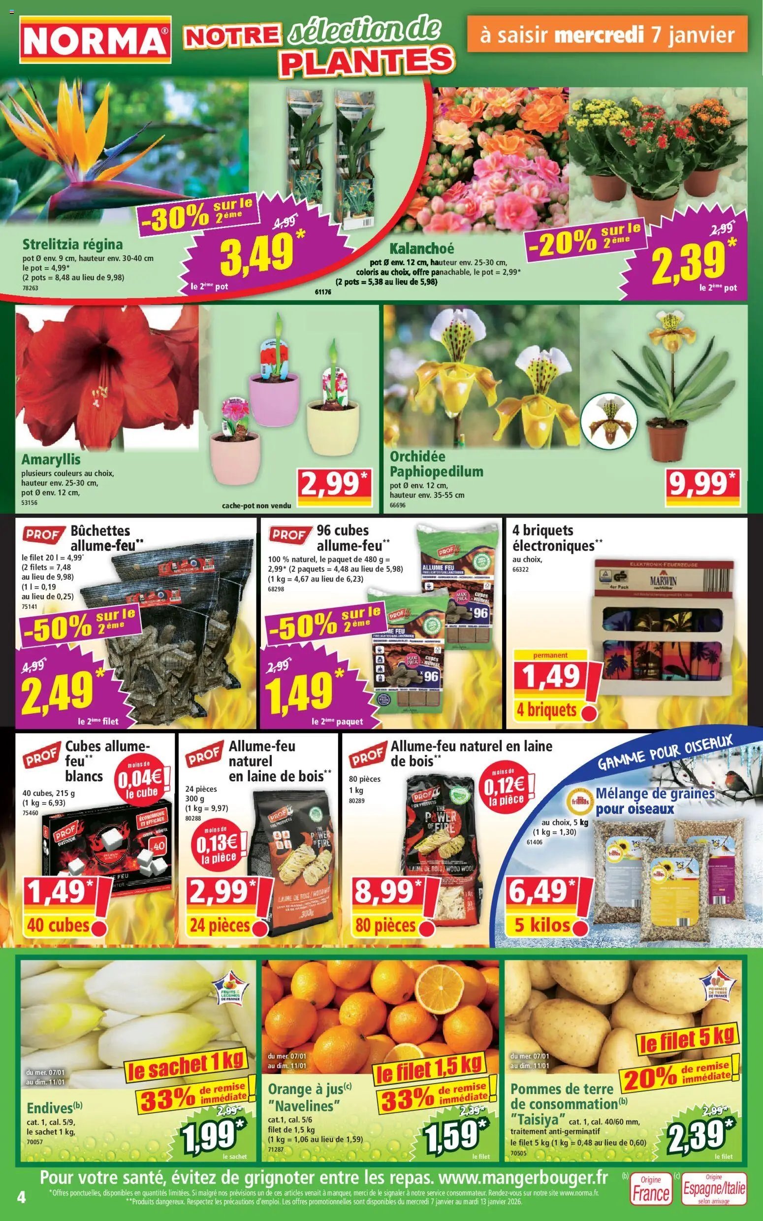 Norma catalogue (2025-01-07 - 2026-01-18)