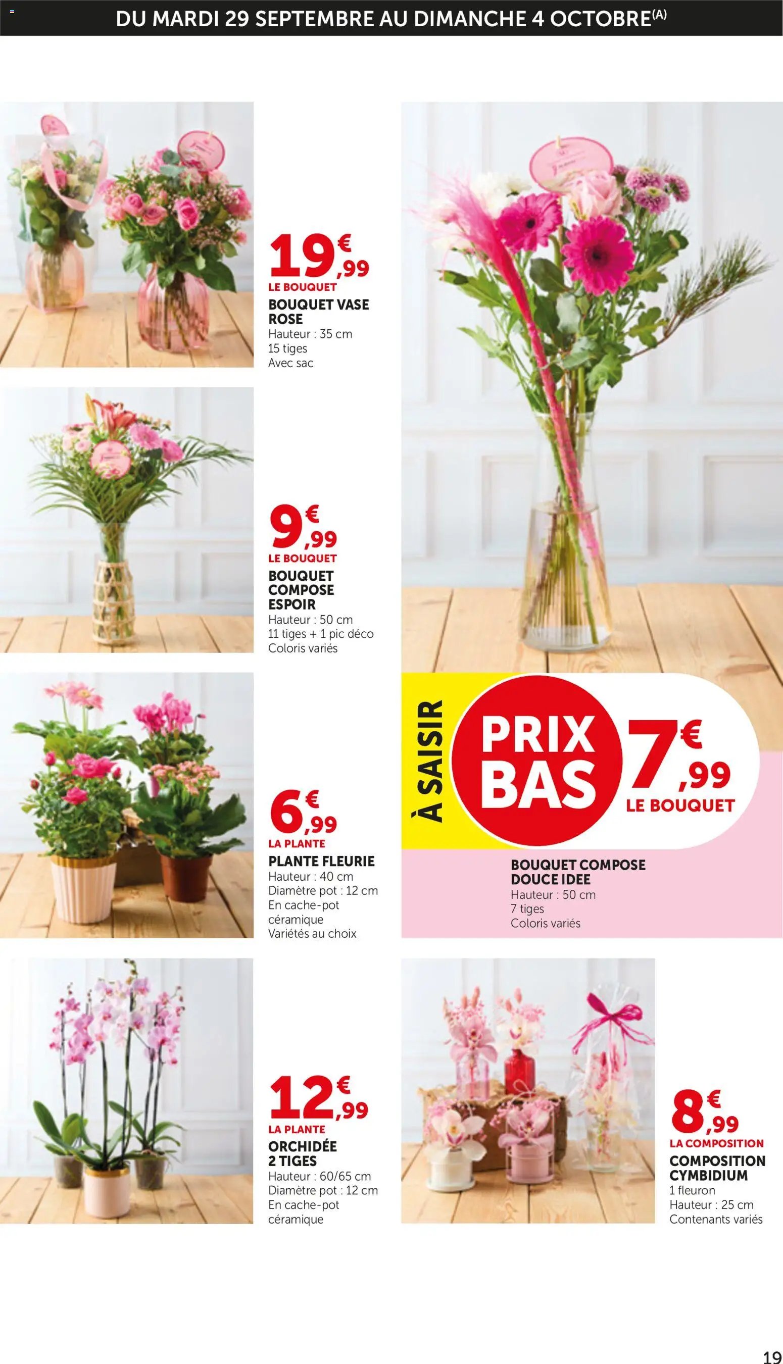 bi1 Catalogue 60% de remise immédiate